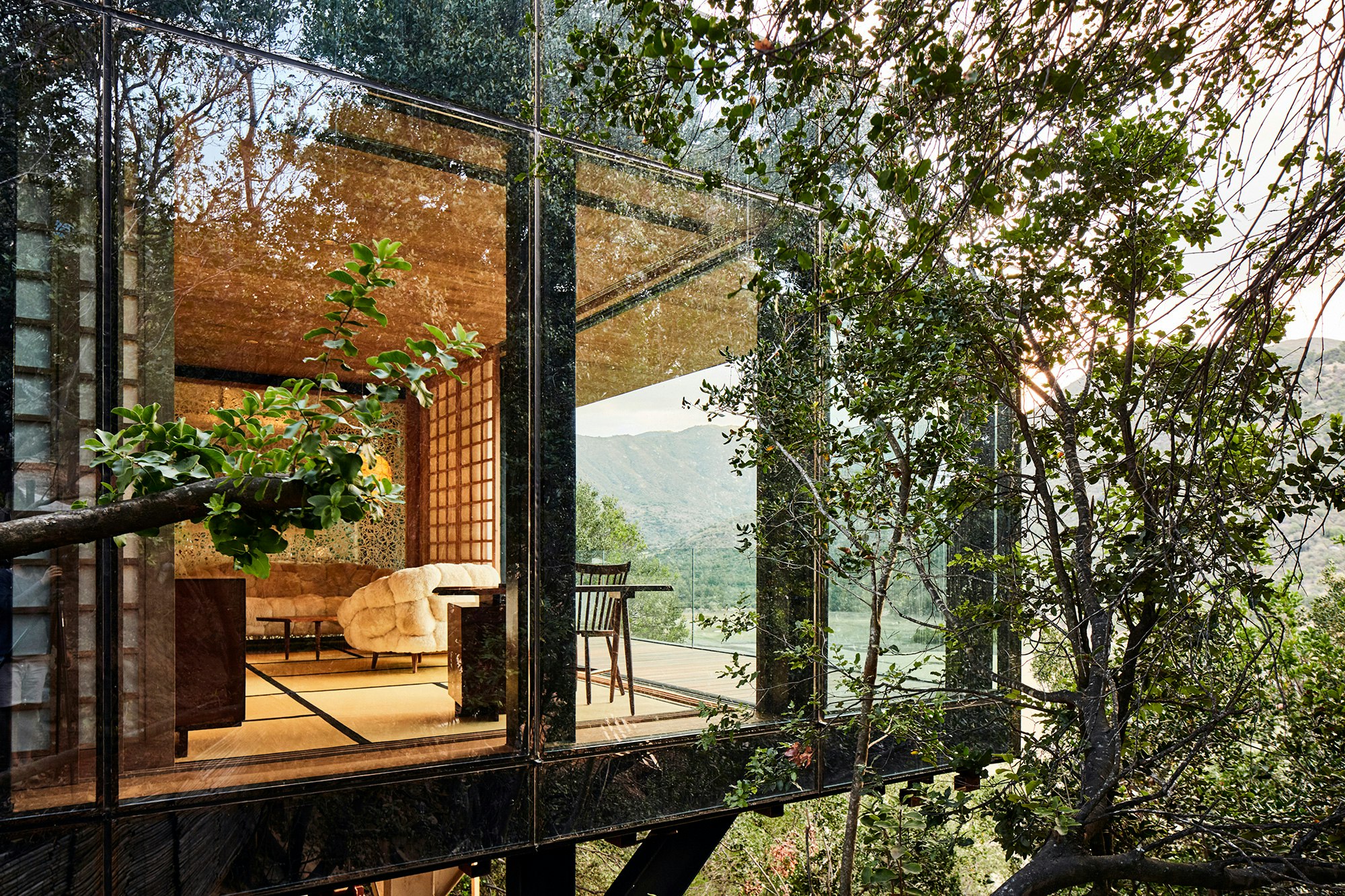 Lush trees grow around a luxurious, glass-walled cabin; the interior is furnished in minimalist style.