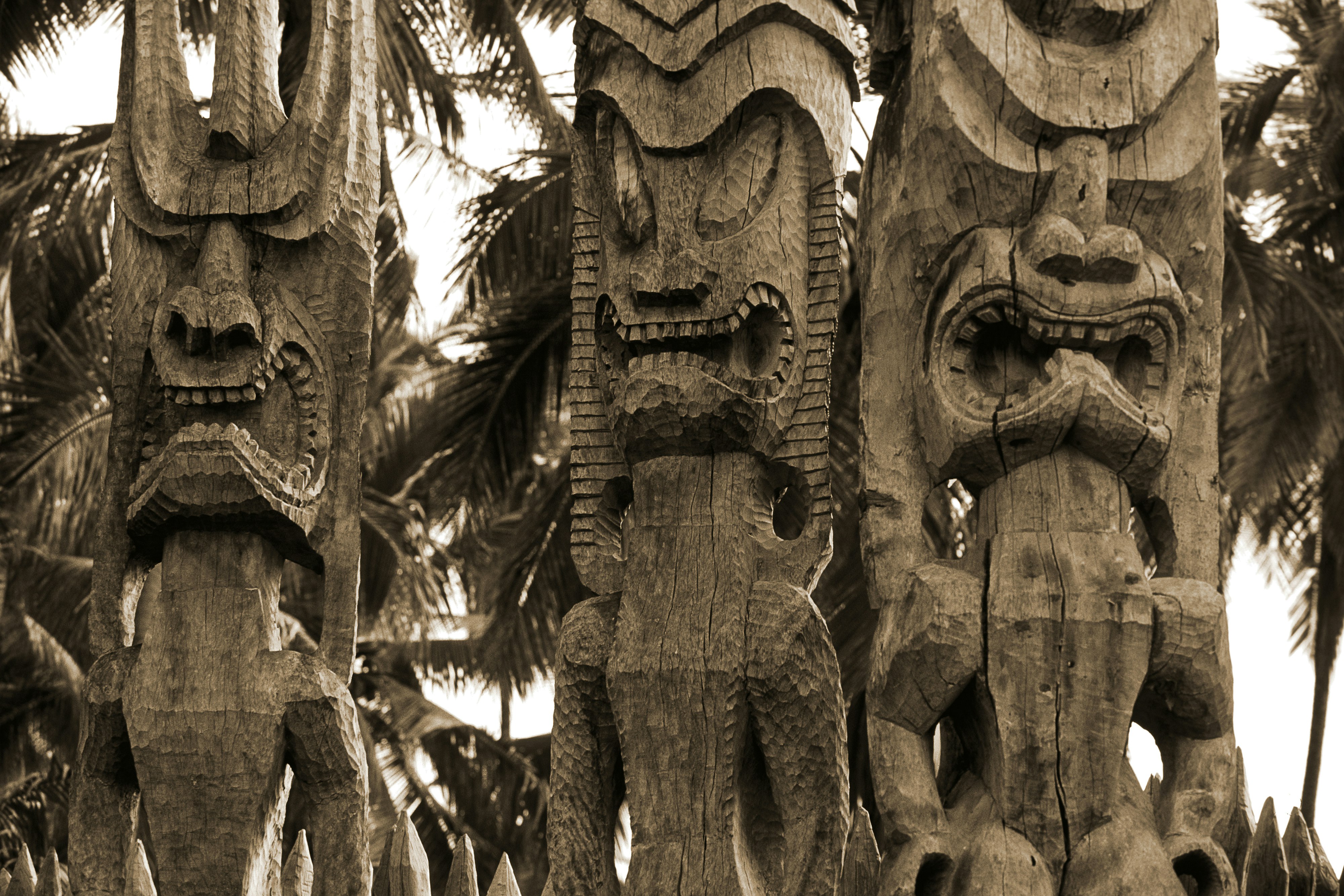 The wooden idols of ancient Hawaiians bare their teeth for the camera