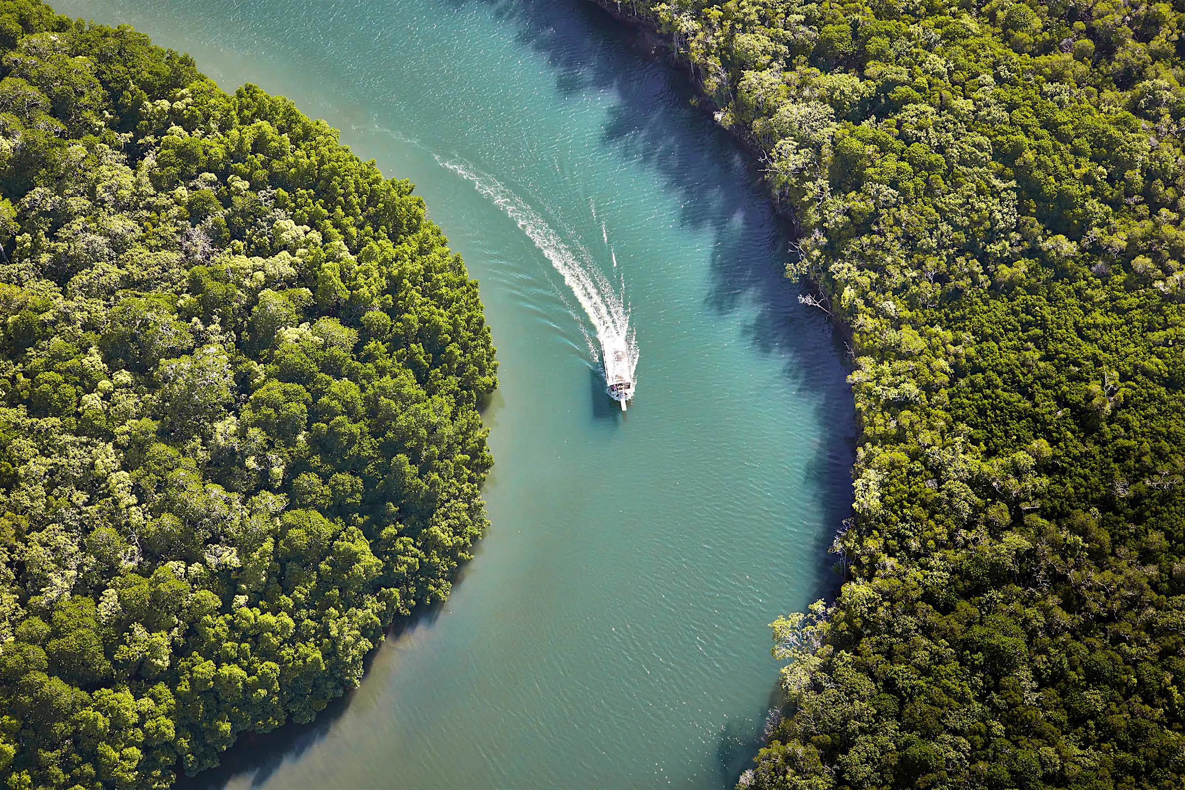 Daintree River Queensland Australia A boat leaves a wake in the Daintree River, seen from above