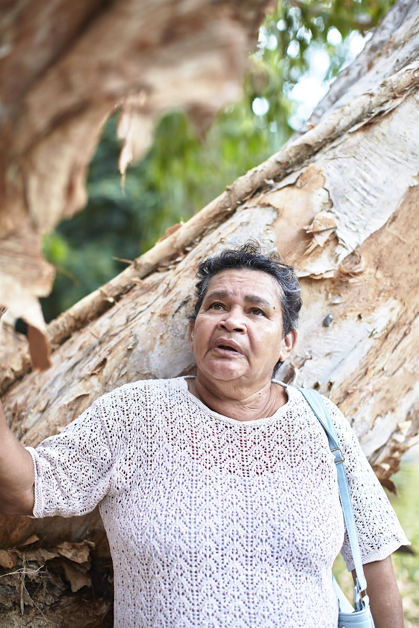 Historian Alberta Hornsby Queensland Australia Alberta Hornsby describing the history of the area