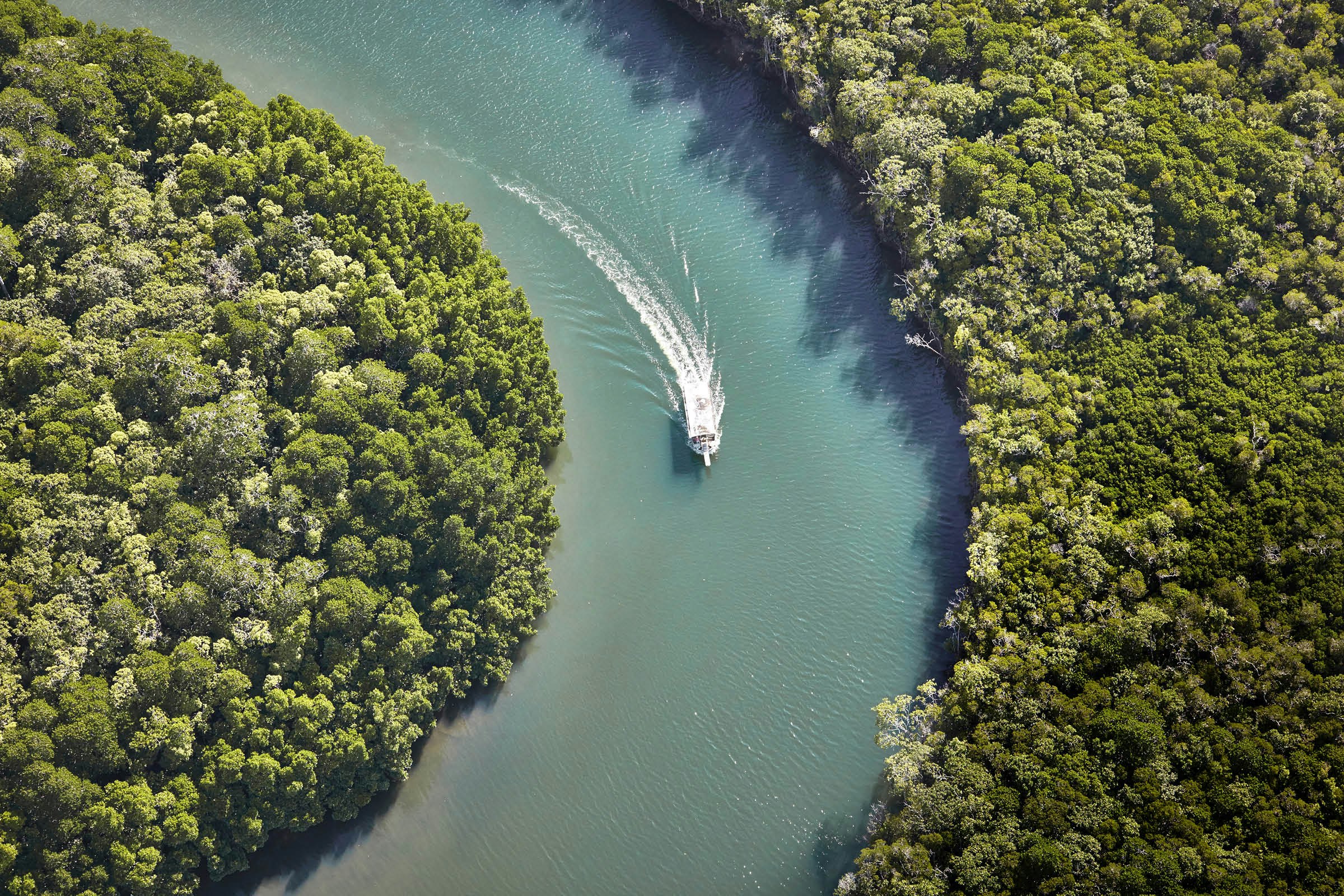 A boat leaves a wake in the Daintree River, seen from above