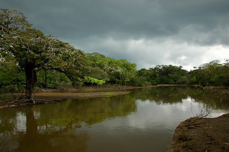 A swollen river runs through a jungle landscape in Ecuador; Quiet parks