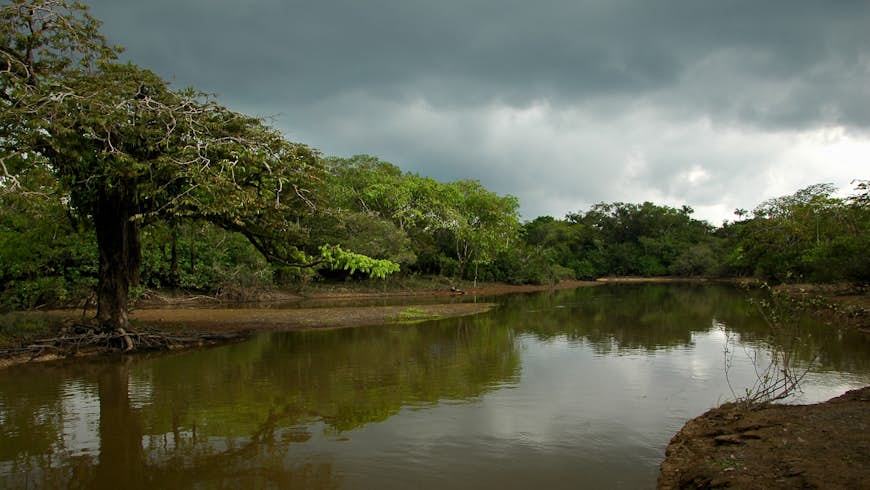 A swollen river runs through a jungle landscape in Ecuador; Quiet parks
