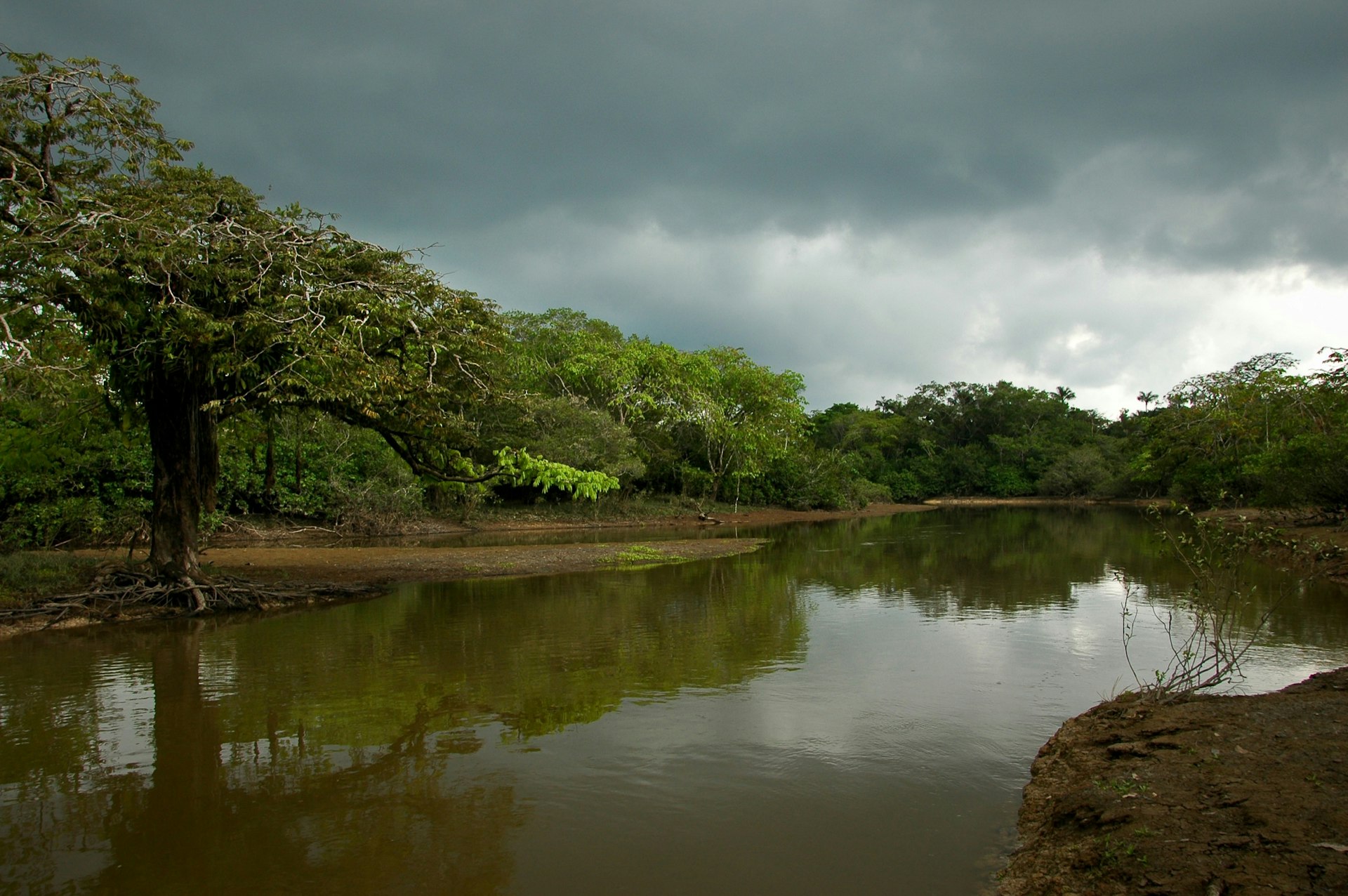 Um rio caudaloso atravessa uma paisagem de selva no Equador; Parques tranquilos