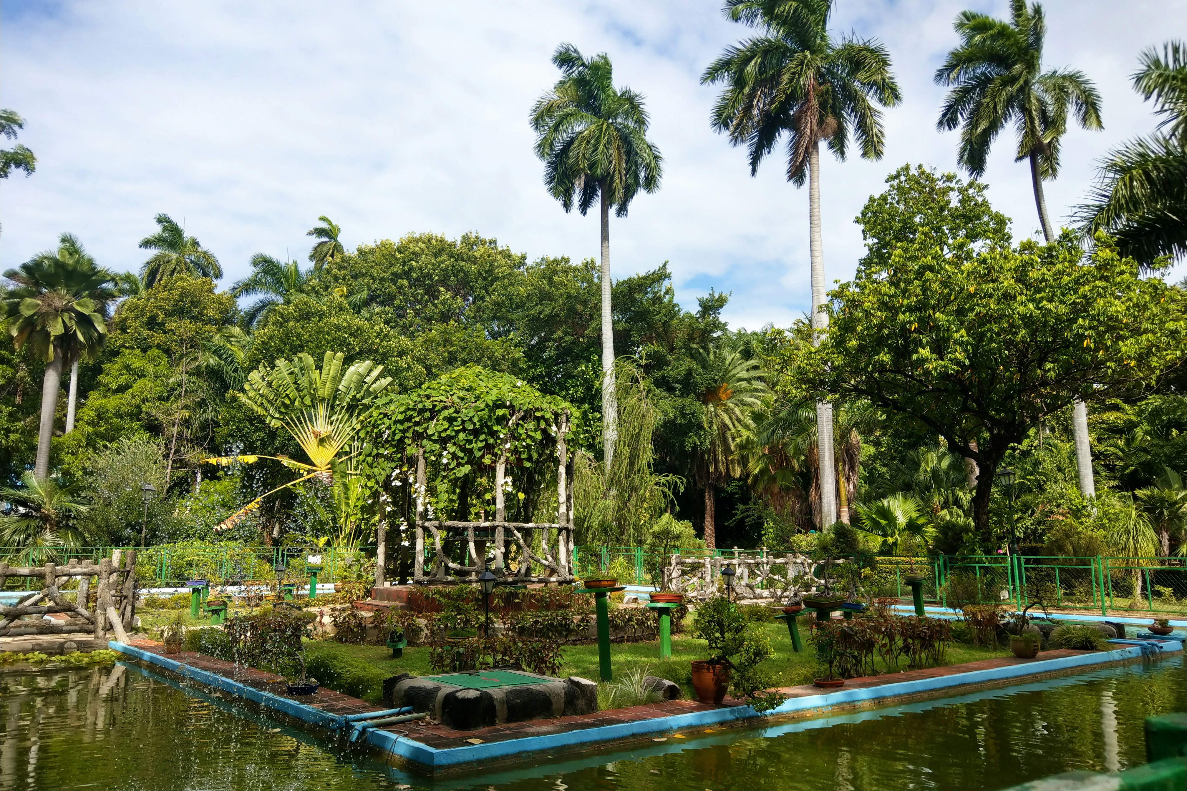 Lush green trees of varying heights surround a small pond and large water feature filled with grass and small structures; Historic Havana sites