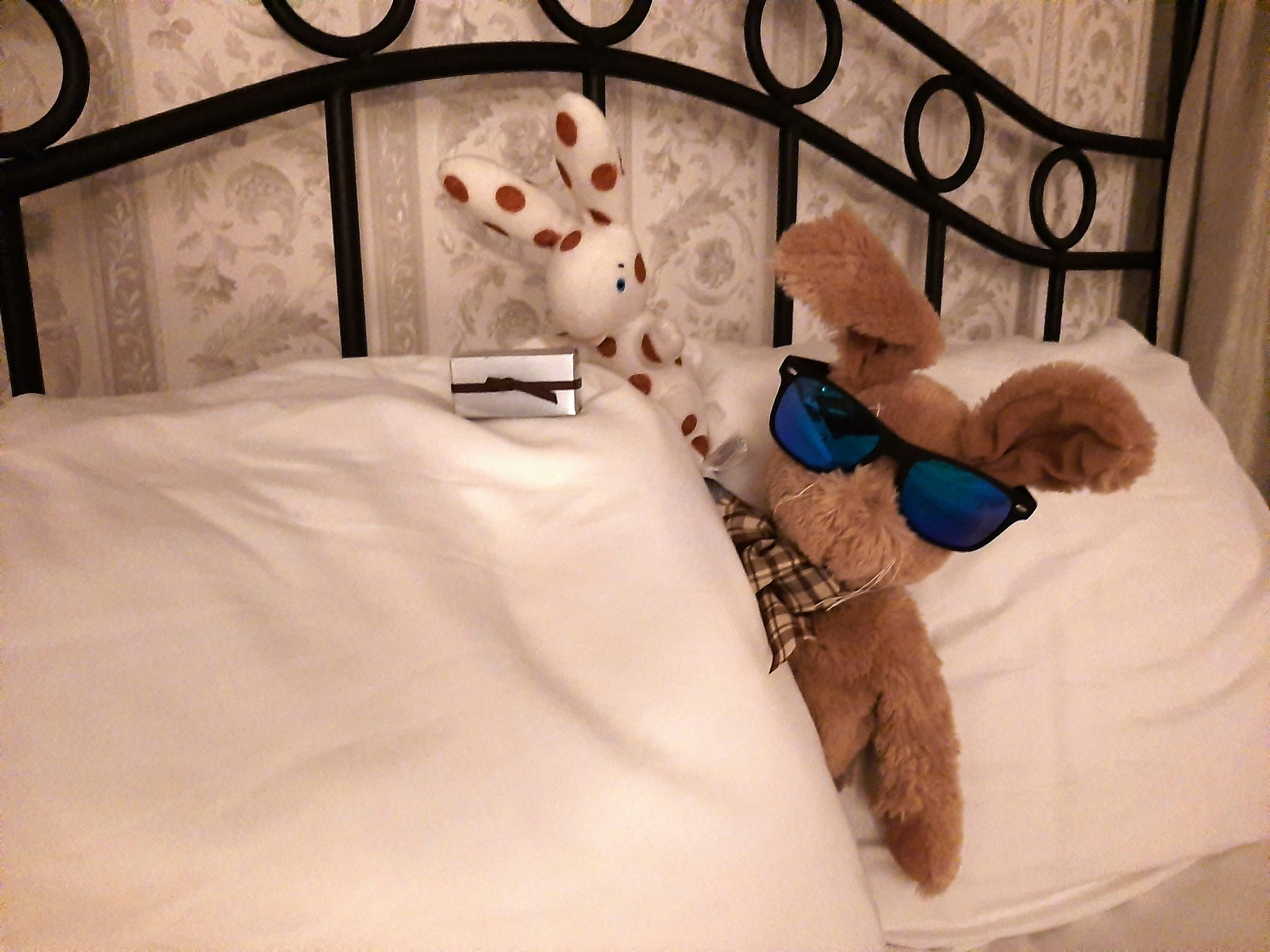 A stuffed rabbit with sunglasses lie inside the bed