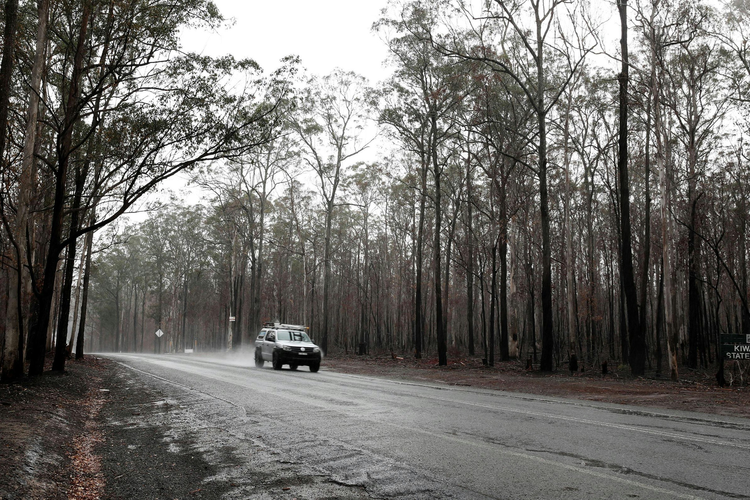 A car driving through a forest in the rain in Australia