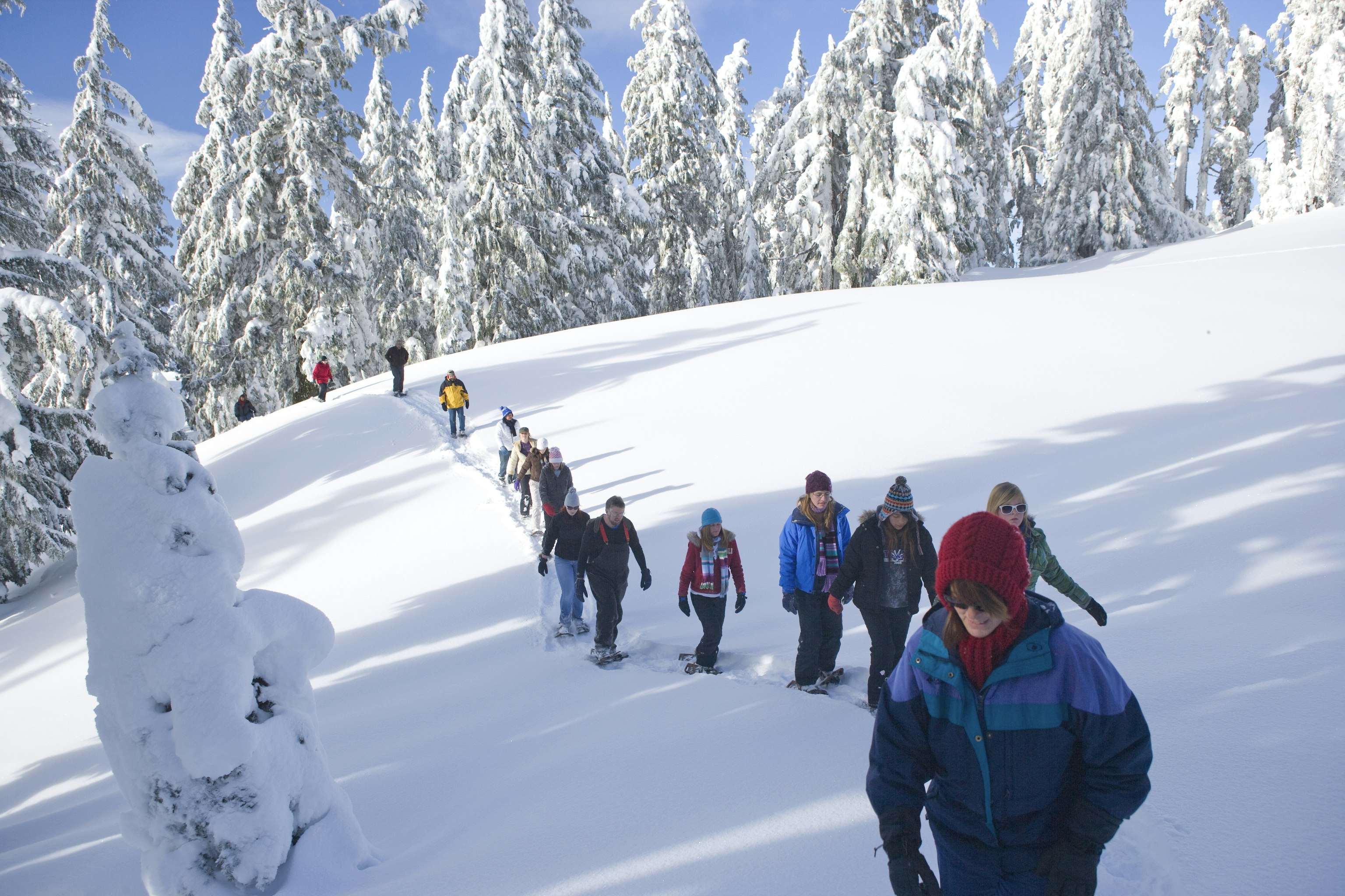 A group go on a snowshoe expedition at Crater Lake National Park