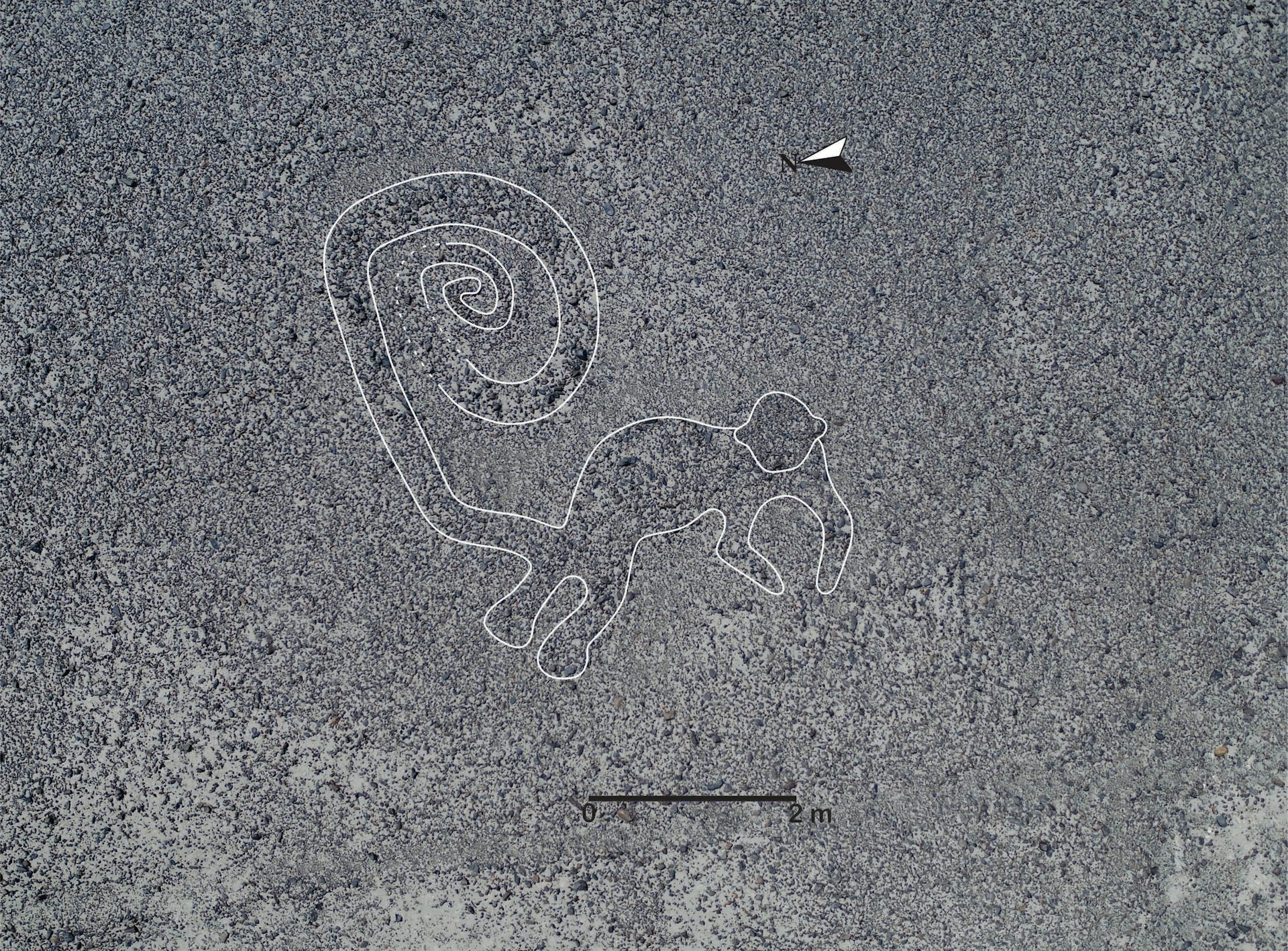 Representation of a monkey, Nazca desert.jpg