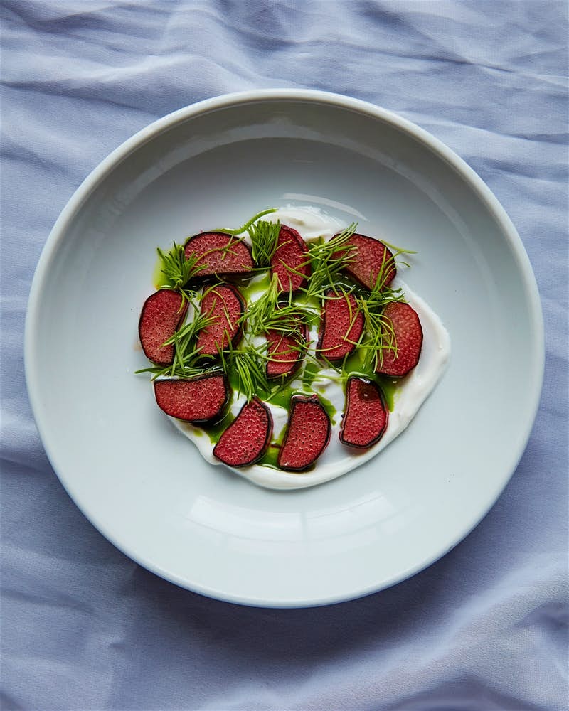 Rhubard, fresh spruce and yoghurt on a white plate. 