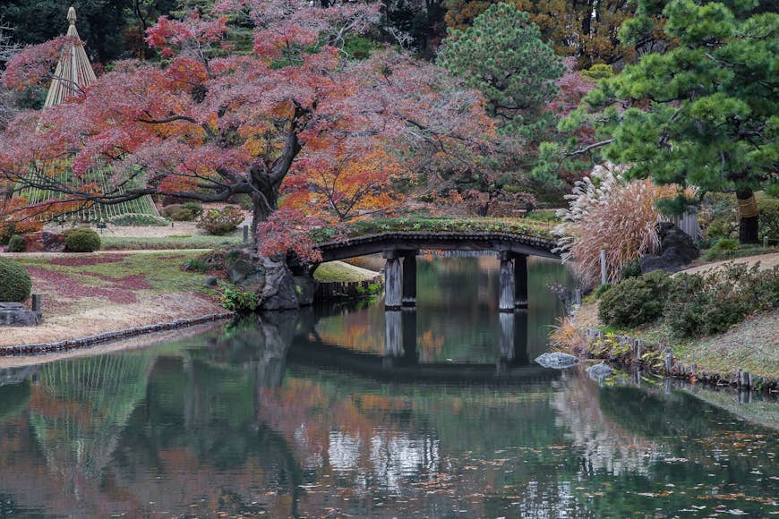 An ornamental bridge crosses still water in Tokyo's Rikugi-en gardens, where autumn colours are tinting the trees orange and dark red