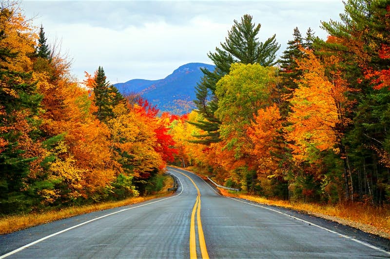 A road through the White Mountains of New Hampshire