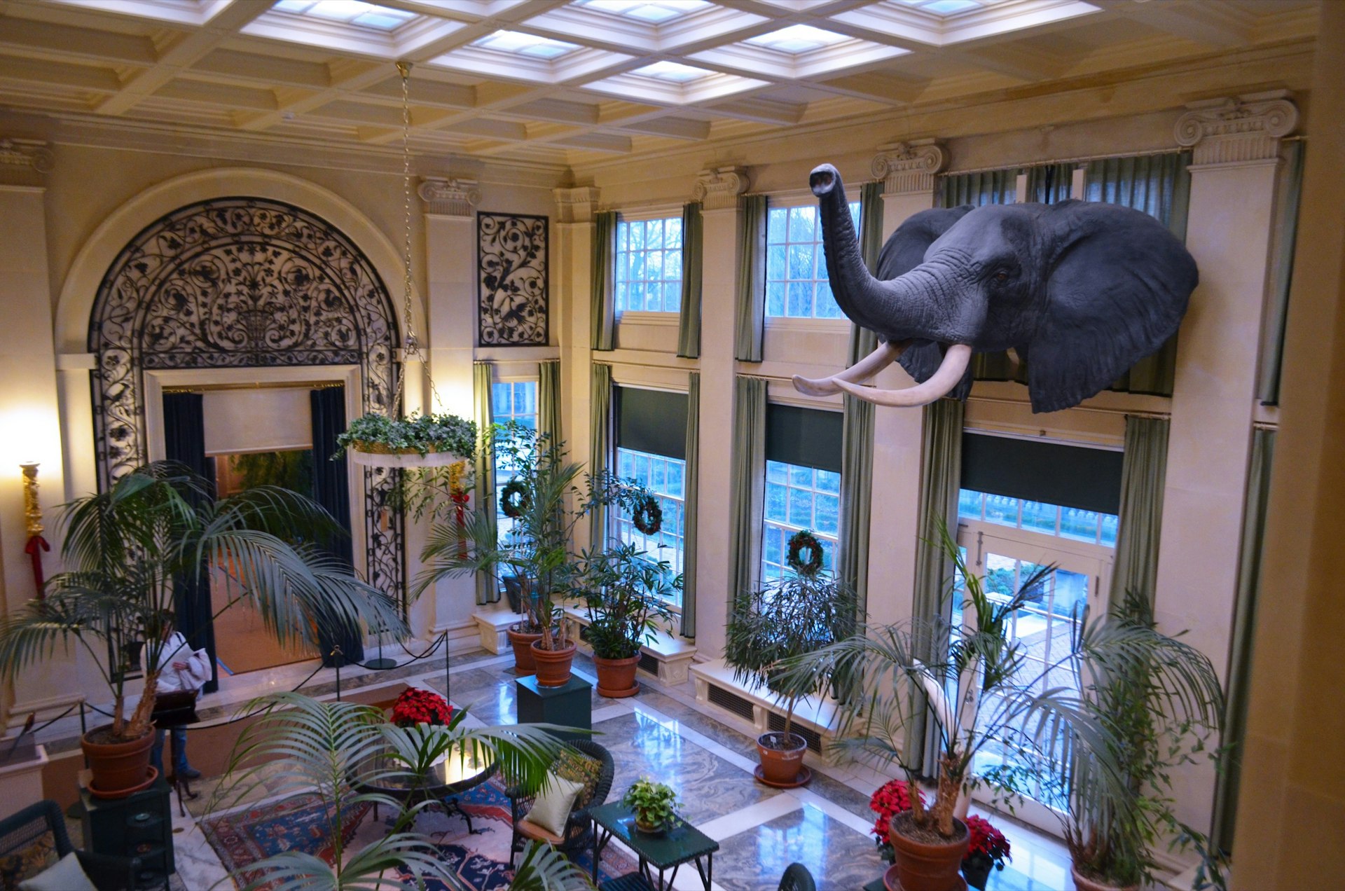 A not-real-looking elephant's head is mounted in an airy parlor in an obviously large house in Rochester, New York