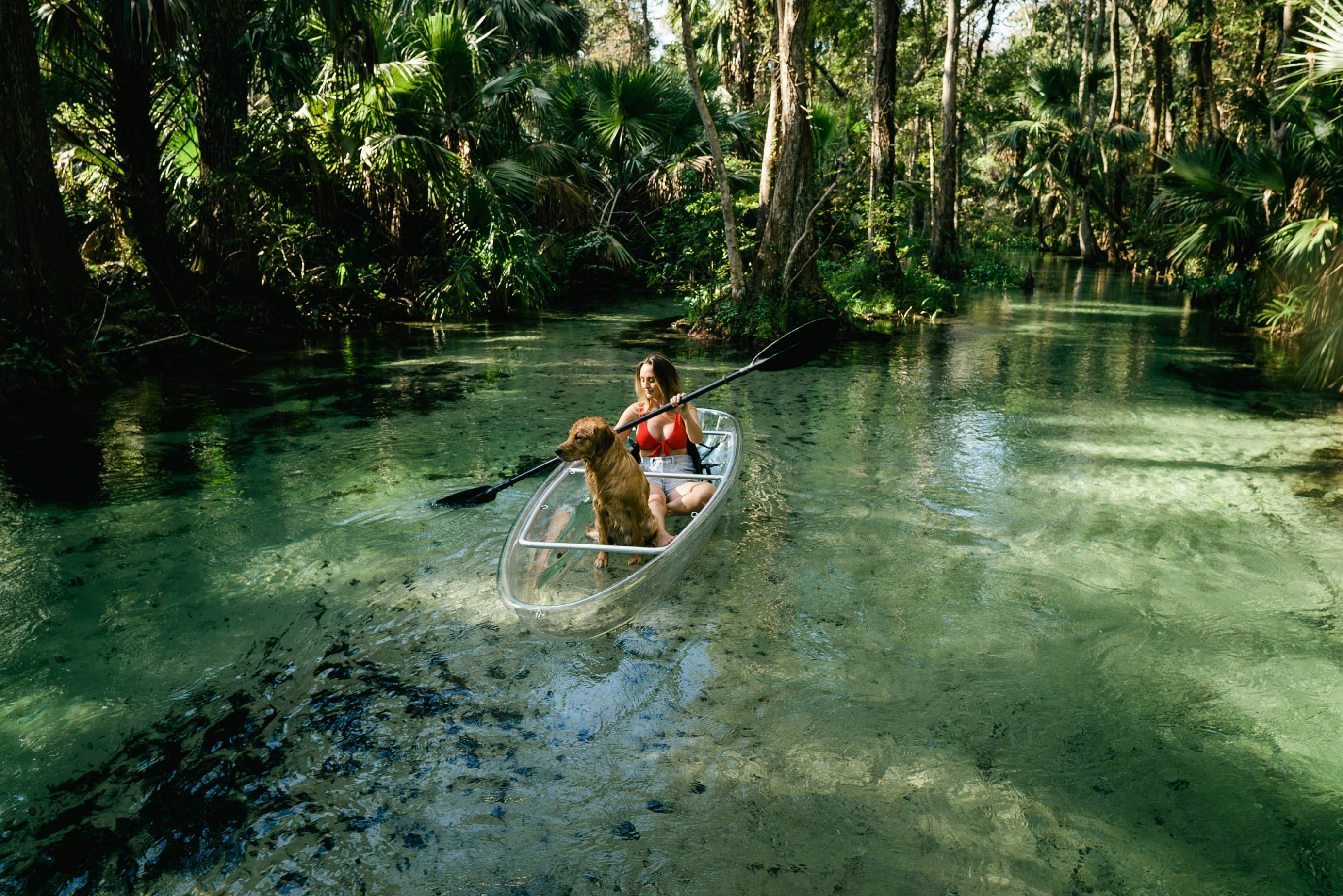 A woman with her dog paddles a clear kayak through Rock Springs Run State Reserve, Florida