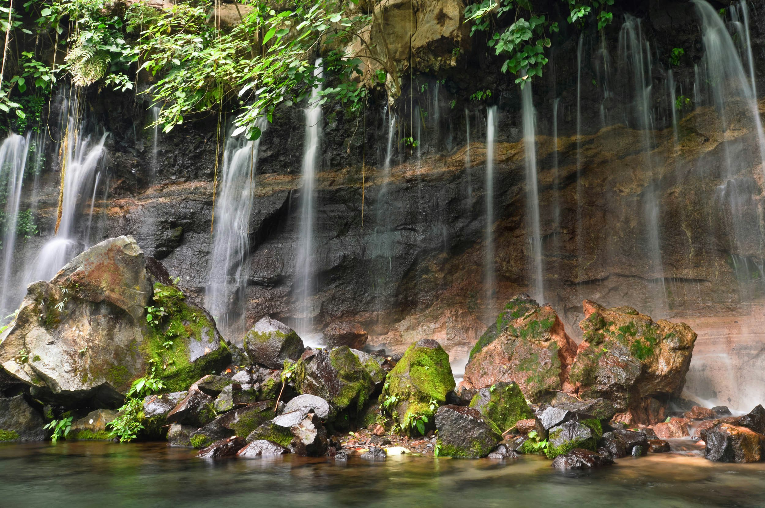 A small water fall pools into a shallow body of water and on to a collection of medium-sized moss-covered rocks and small vegetation.