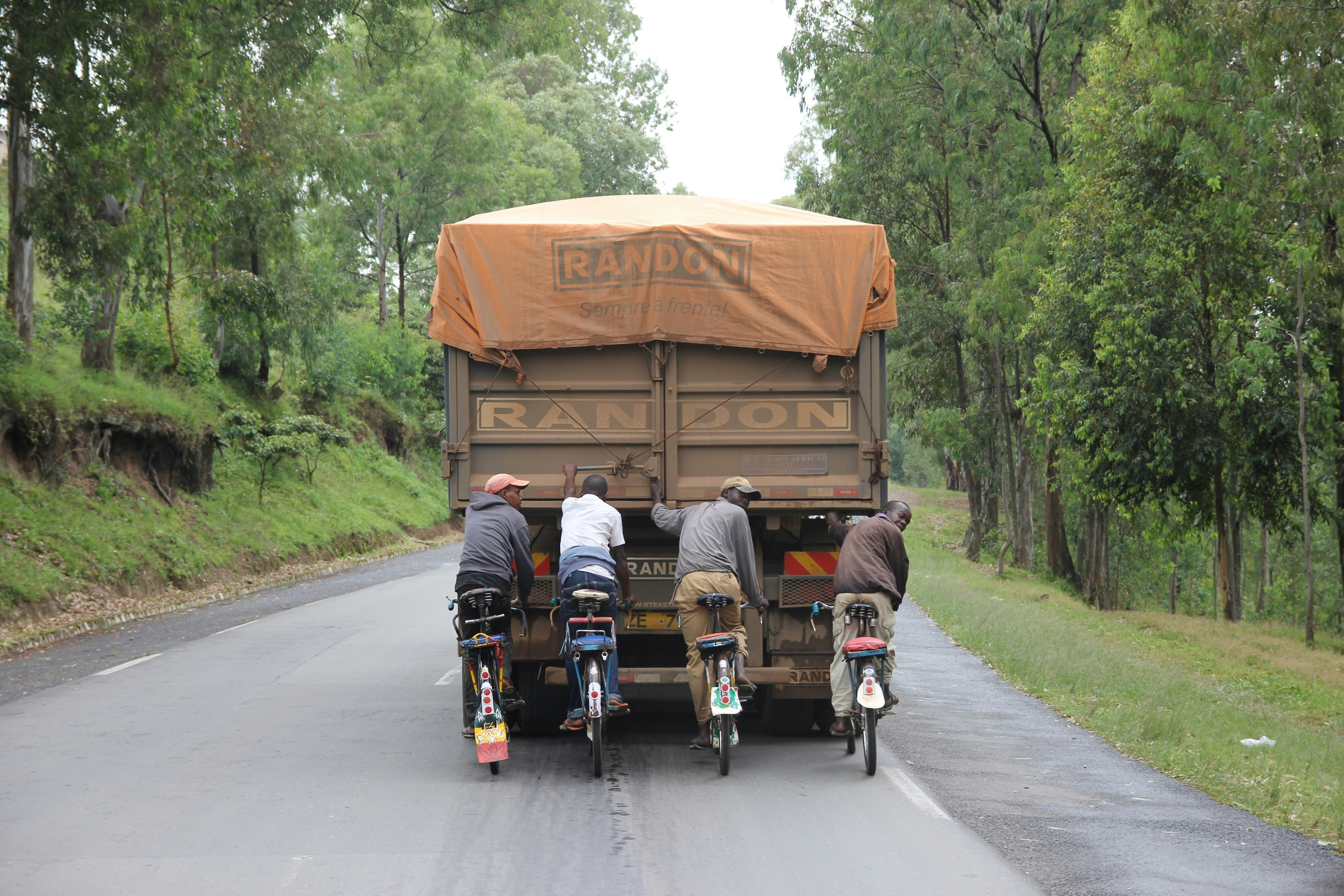 A group of men riding bikes are hitching a ride on the back of a truck. The concrete road they are on is surrounded by trees. 