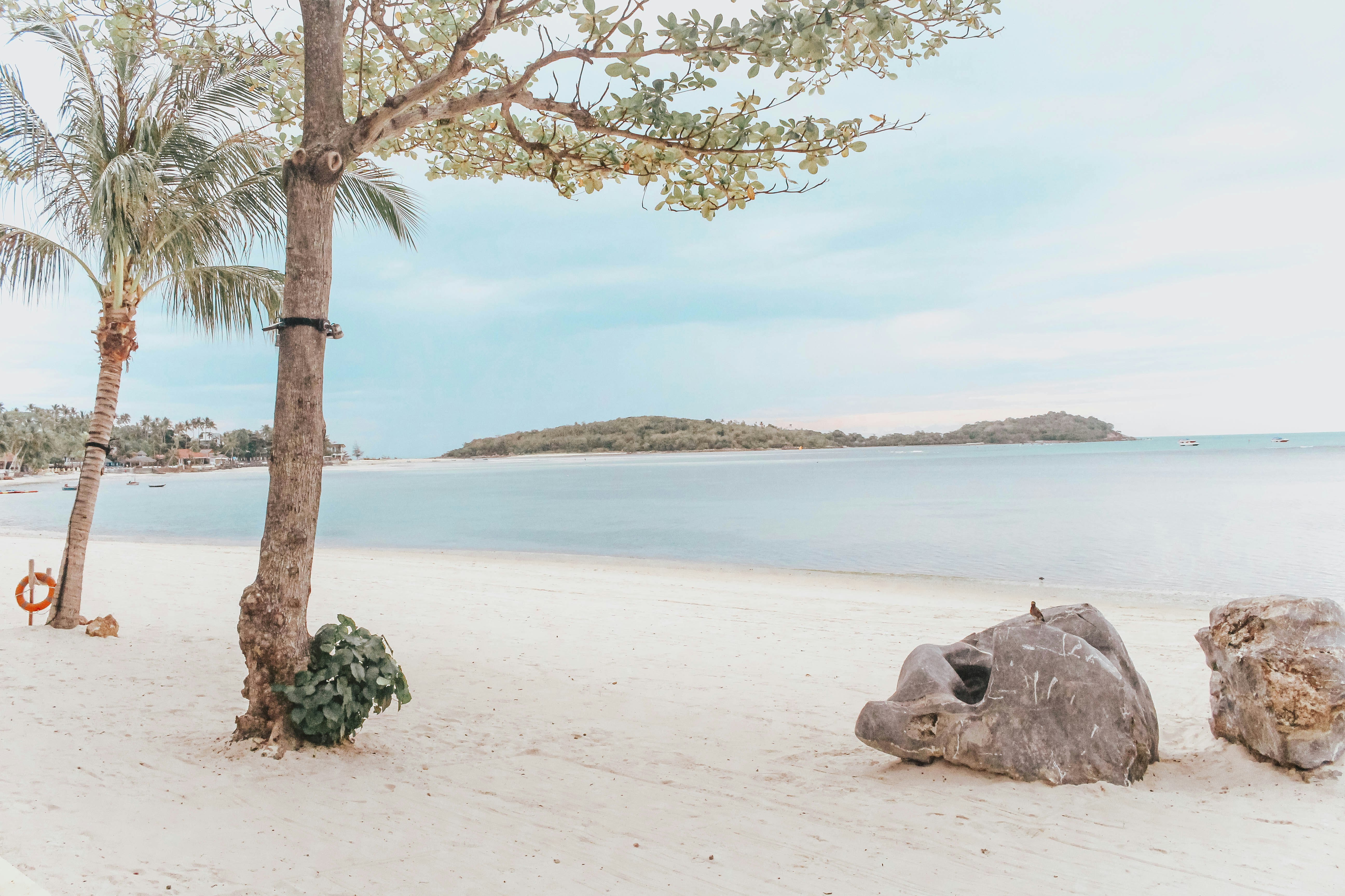 A tropical beach scene with palm trees on white sand at SALA Samui Chaweng Beach Resort.