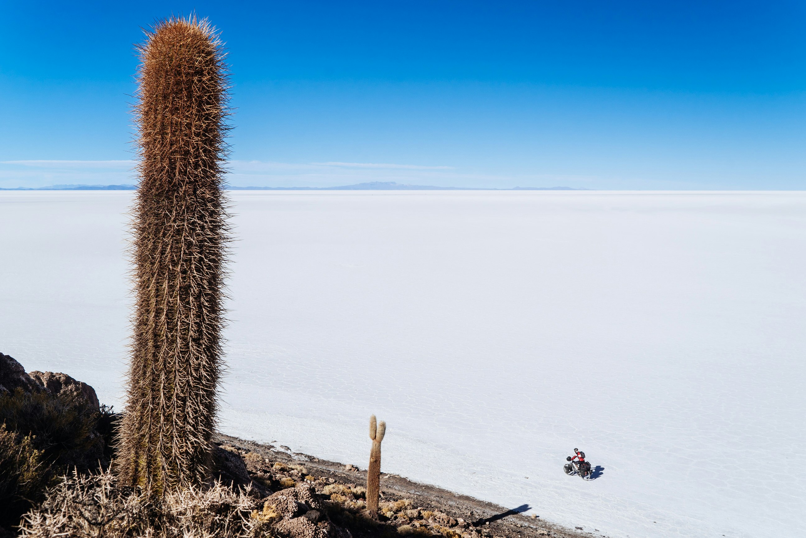 A tall cactus on a rocky slope stand in the foreground, while the flat and brilliantly white salt flats expand to the horizon; a lone cyclist rides on the salt