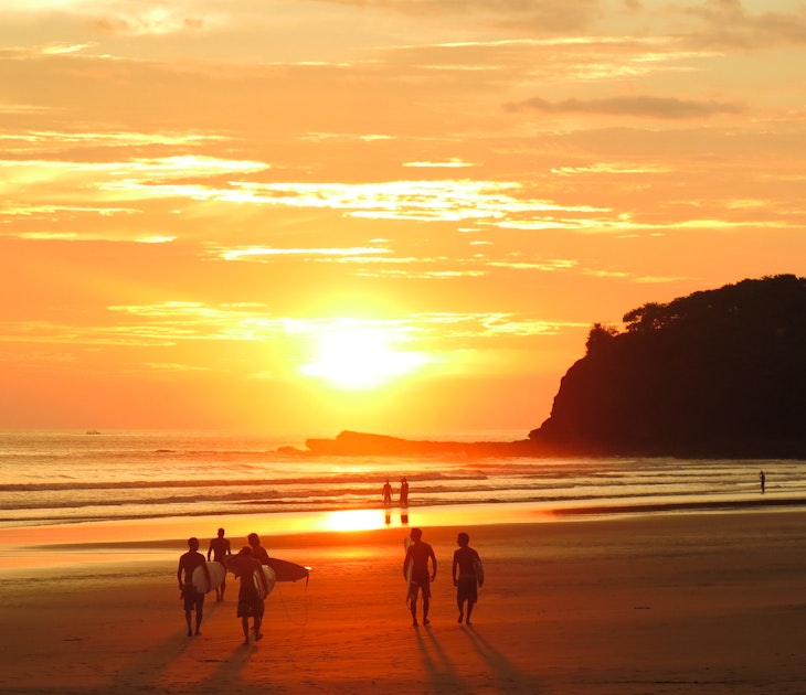 A group of surfers walk towards the water as sun creates a golden glow on the water and the sand