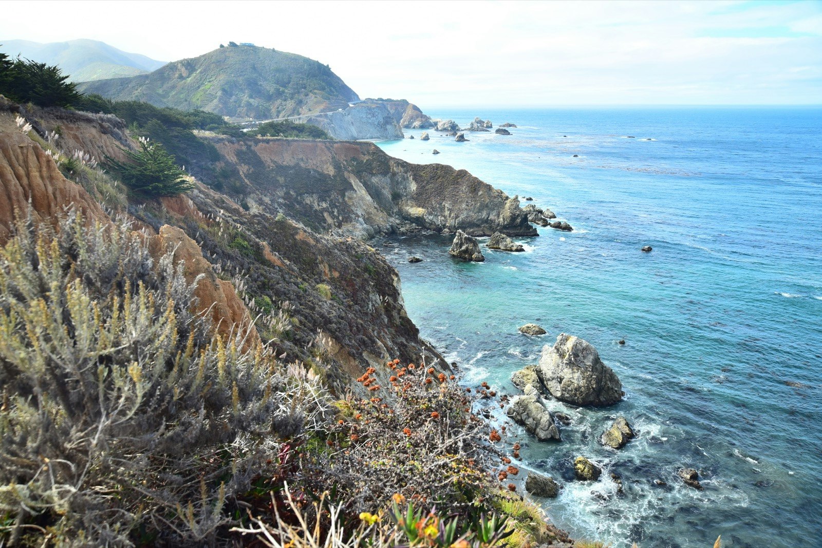The coastline along Santa Cruz Island is rocky and filled with colorful wildflowers