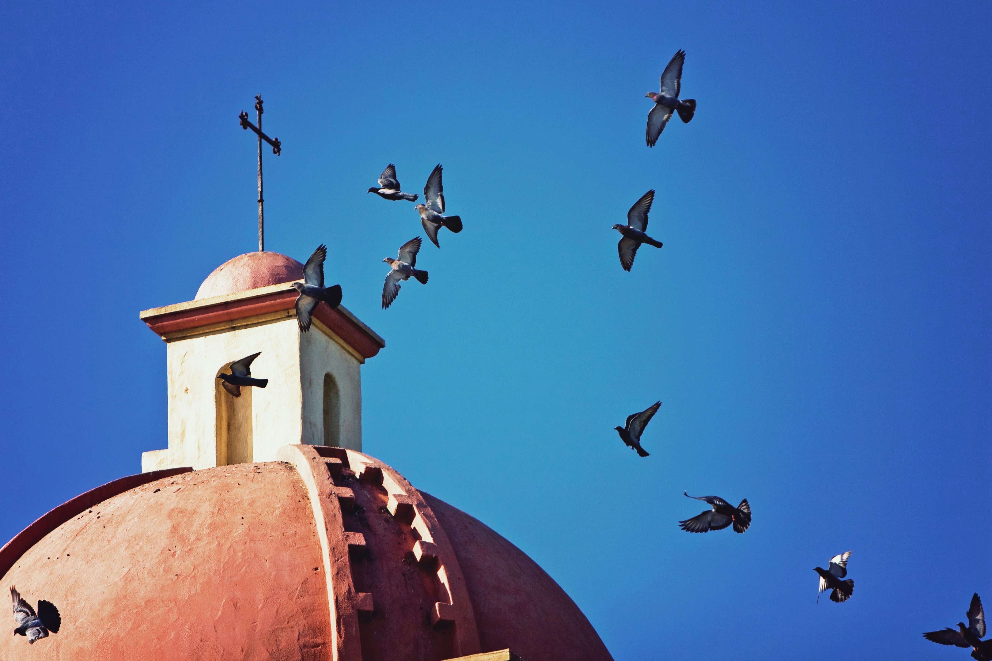 Birds fly past the terra cotta roof of a spanish-style mission in Santa Barbara; California ice cream