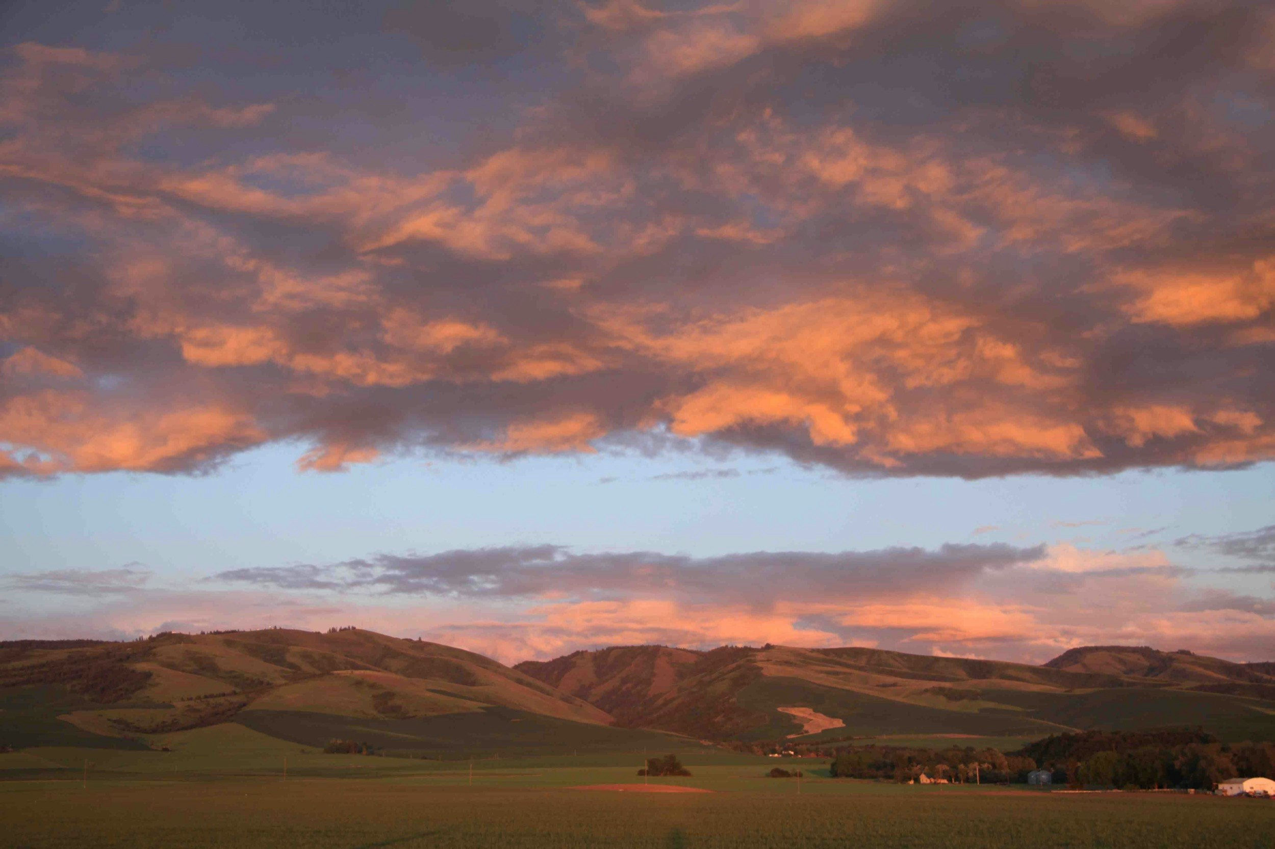 A lovely pink sunset over farmland and green rolling hills in Washington
