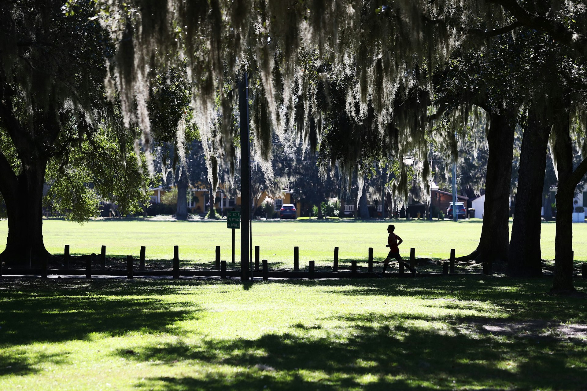 A runner makes his way past a park in Savannah, Georgia under the tree cover
