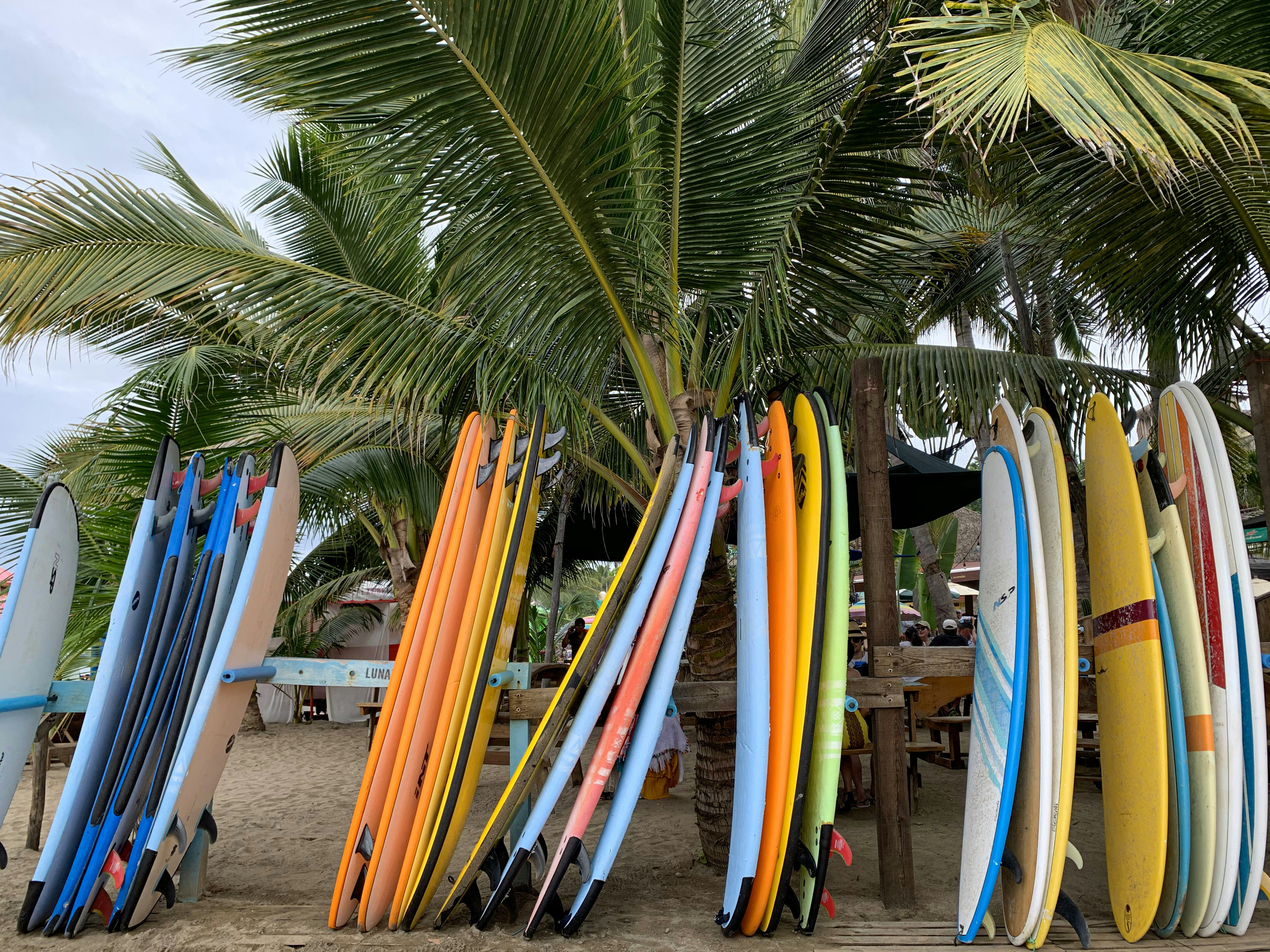 Surfboards lined up near a beach