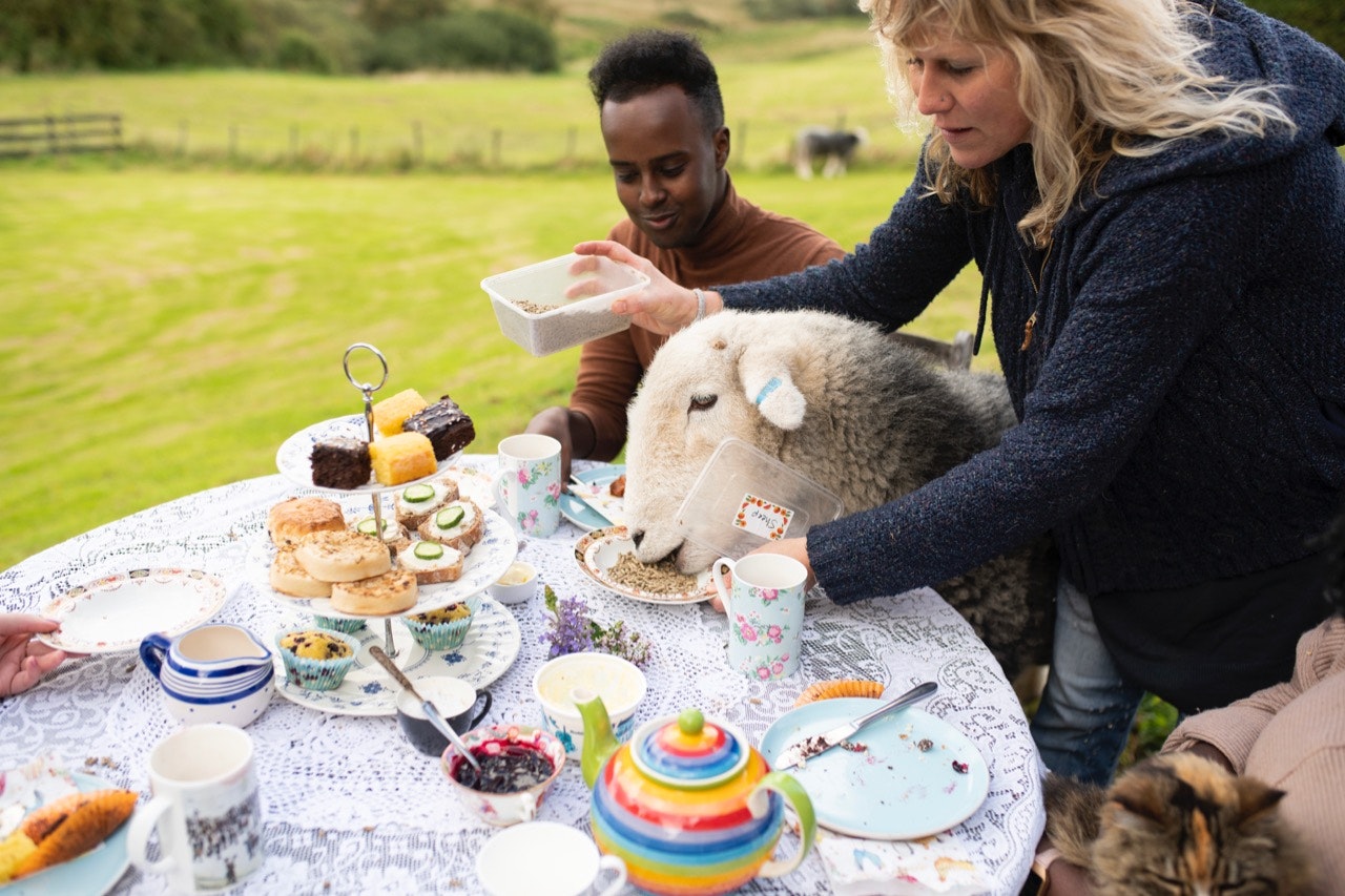 Two people having tea with a sheep eating at the table