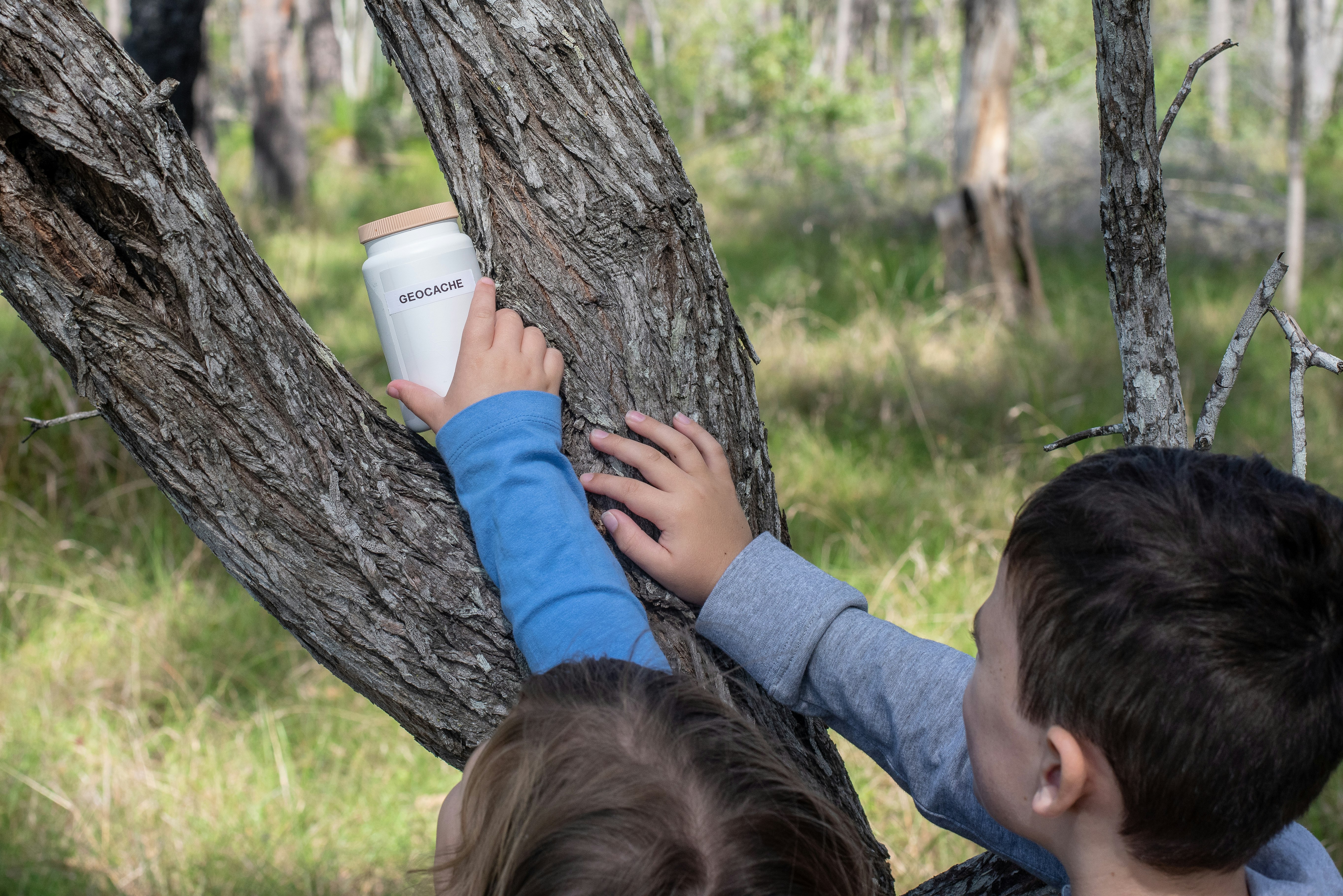 Two children reach up to a white container in the fork of a tree trunk; it's labelled with the word 'geocache'.