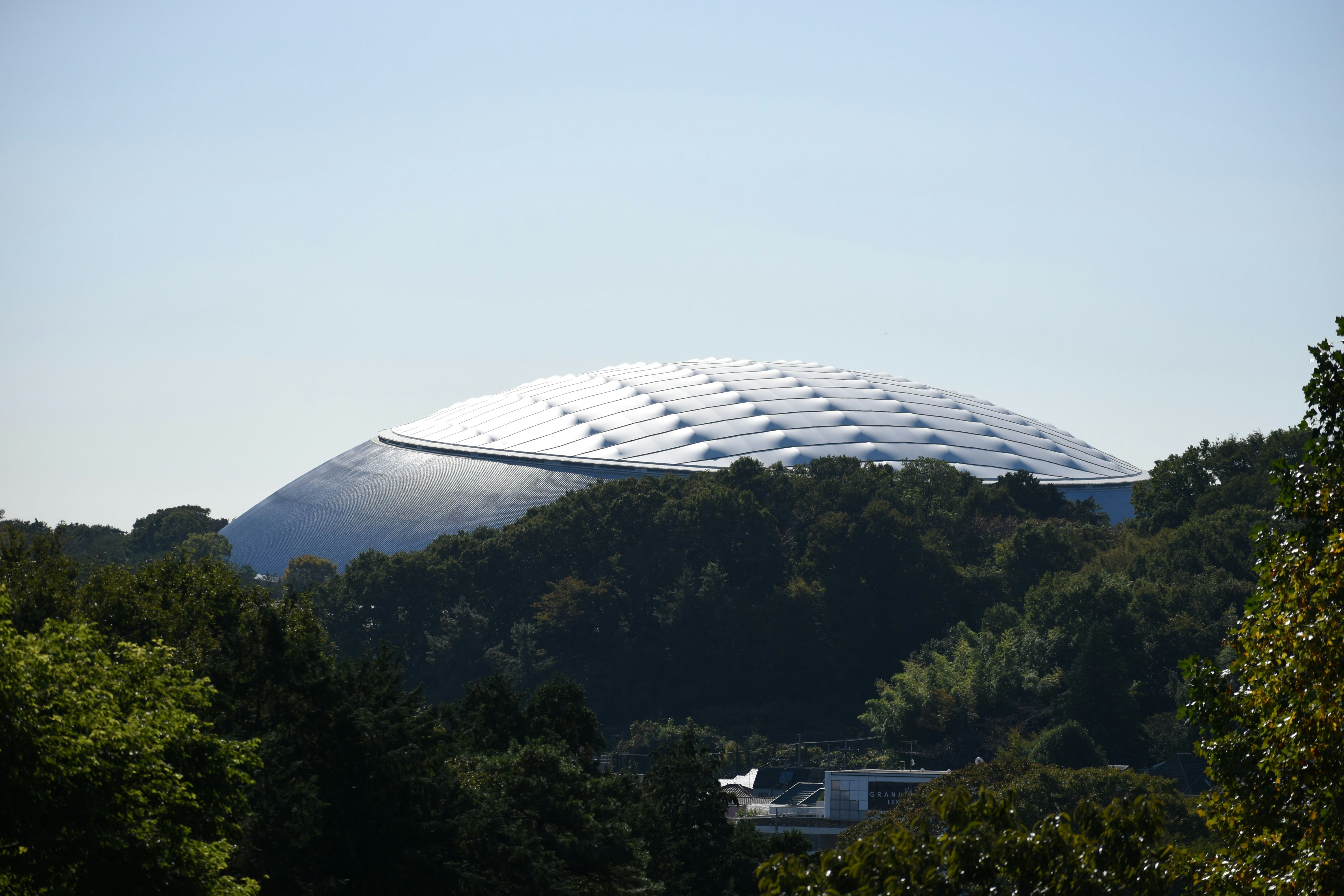 A view of the Seibu Dome over the treetops in Tokorozawa