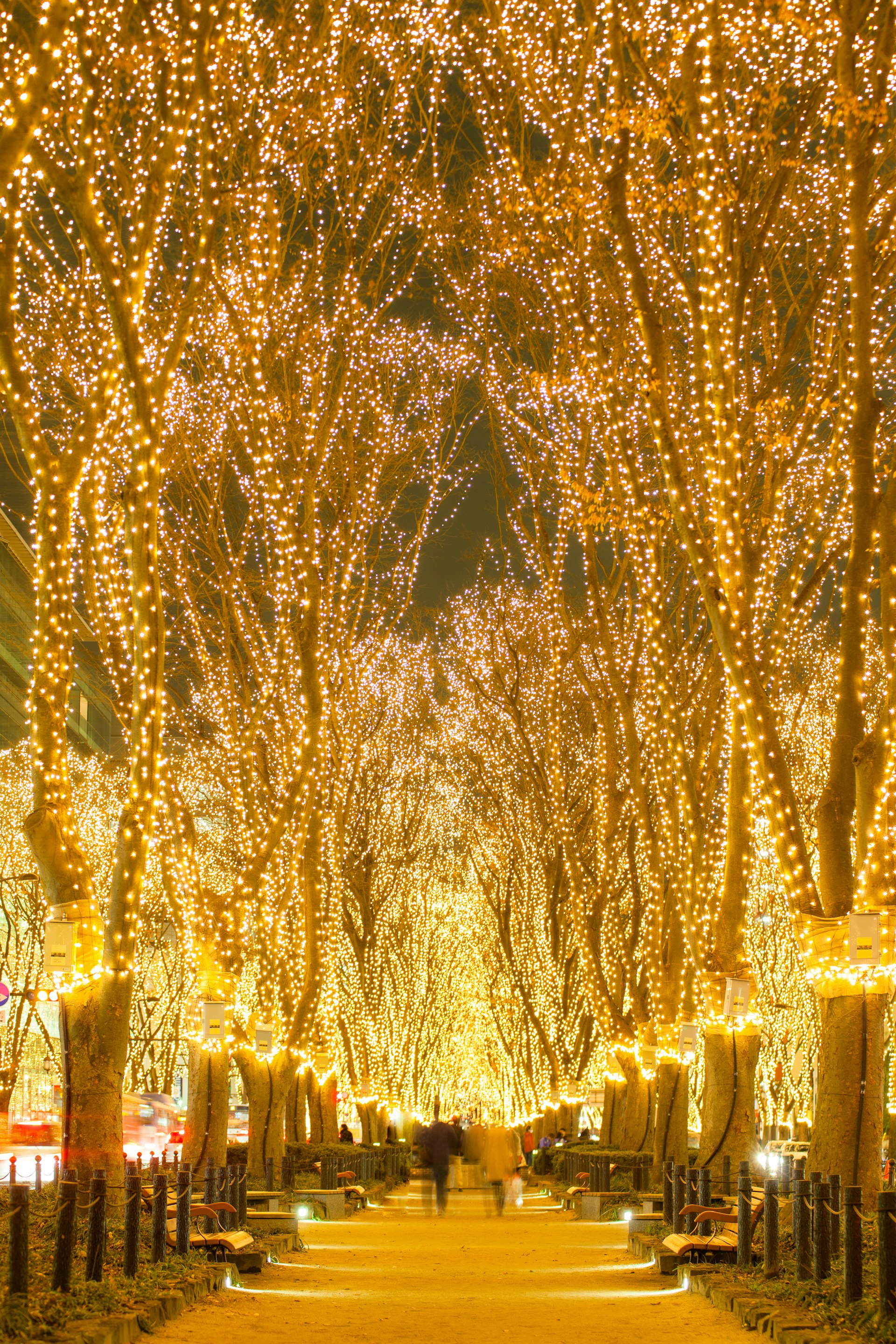 A footpath in Sendai city lined with trees covered in fairy lights