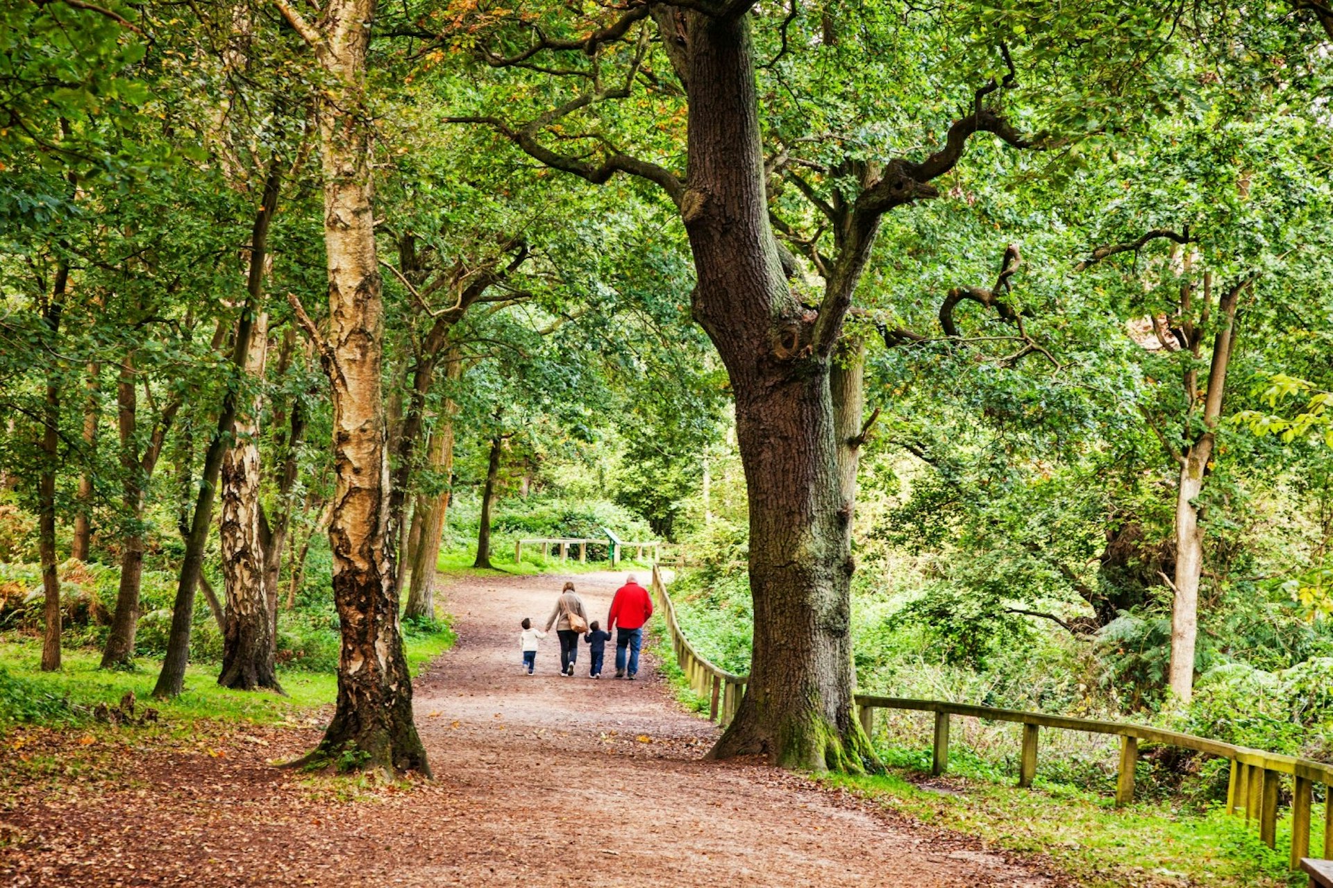 Family walking in Sherwood Forest, Nottinghamshire, England