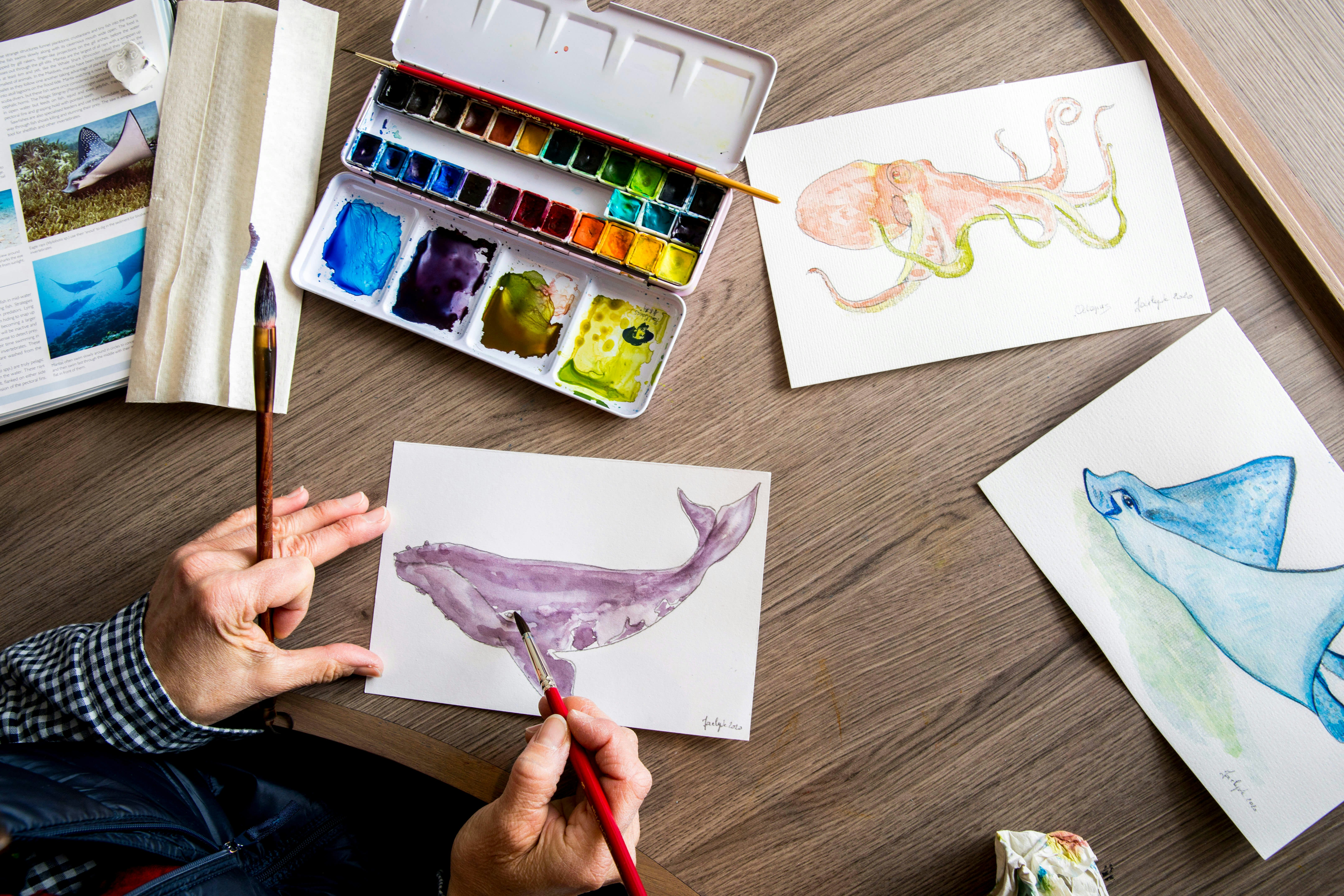 Colourful watercolours of sting rays, whales and an octopus