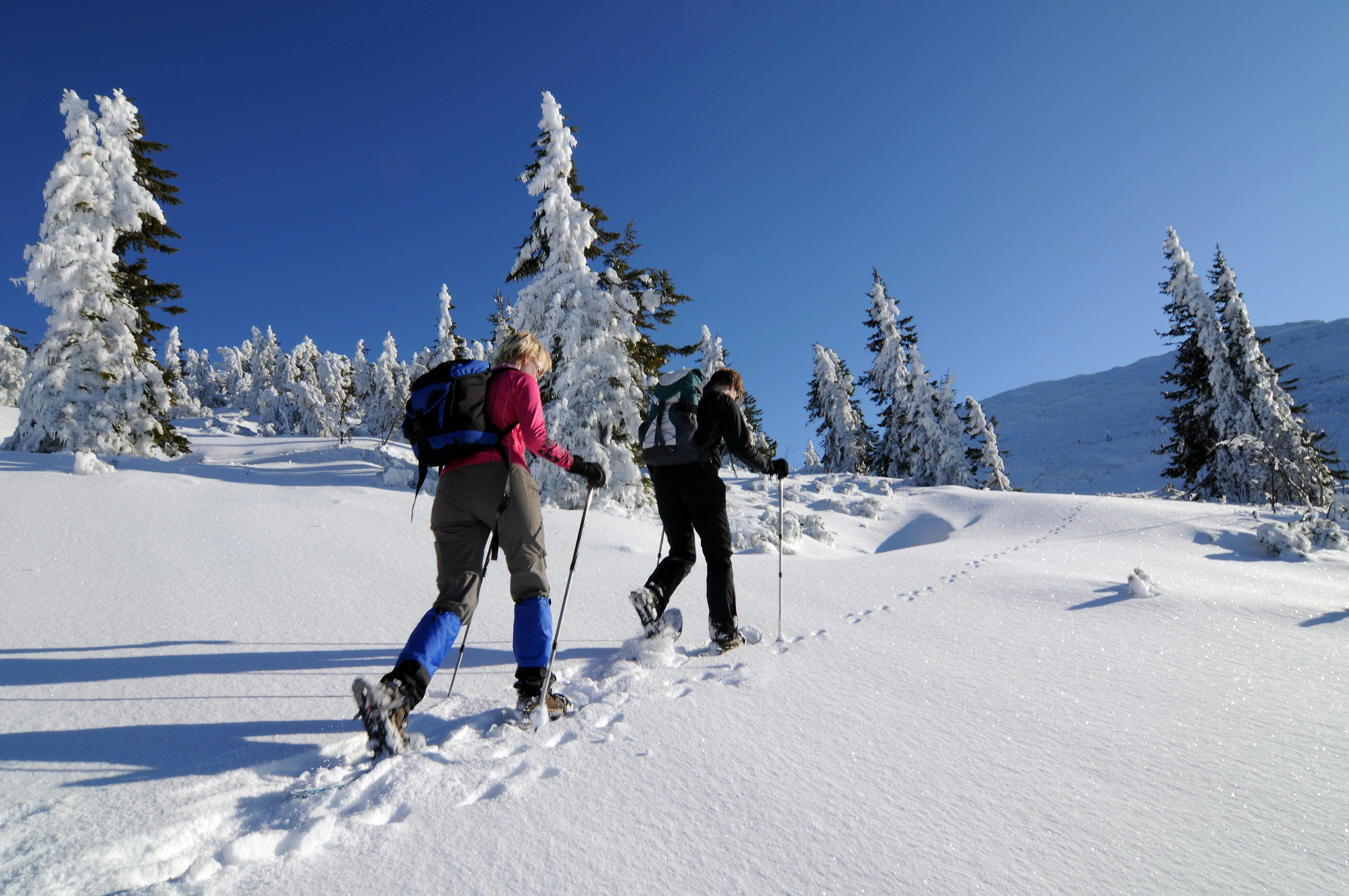 A pair of people carrying a poles snowshoe up a snow-covered hill