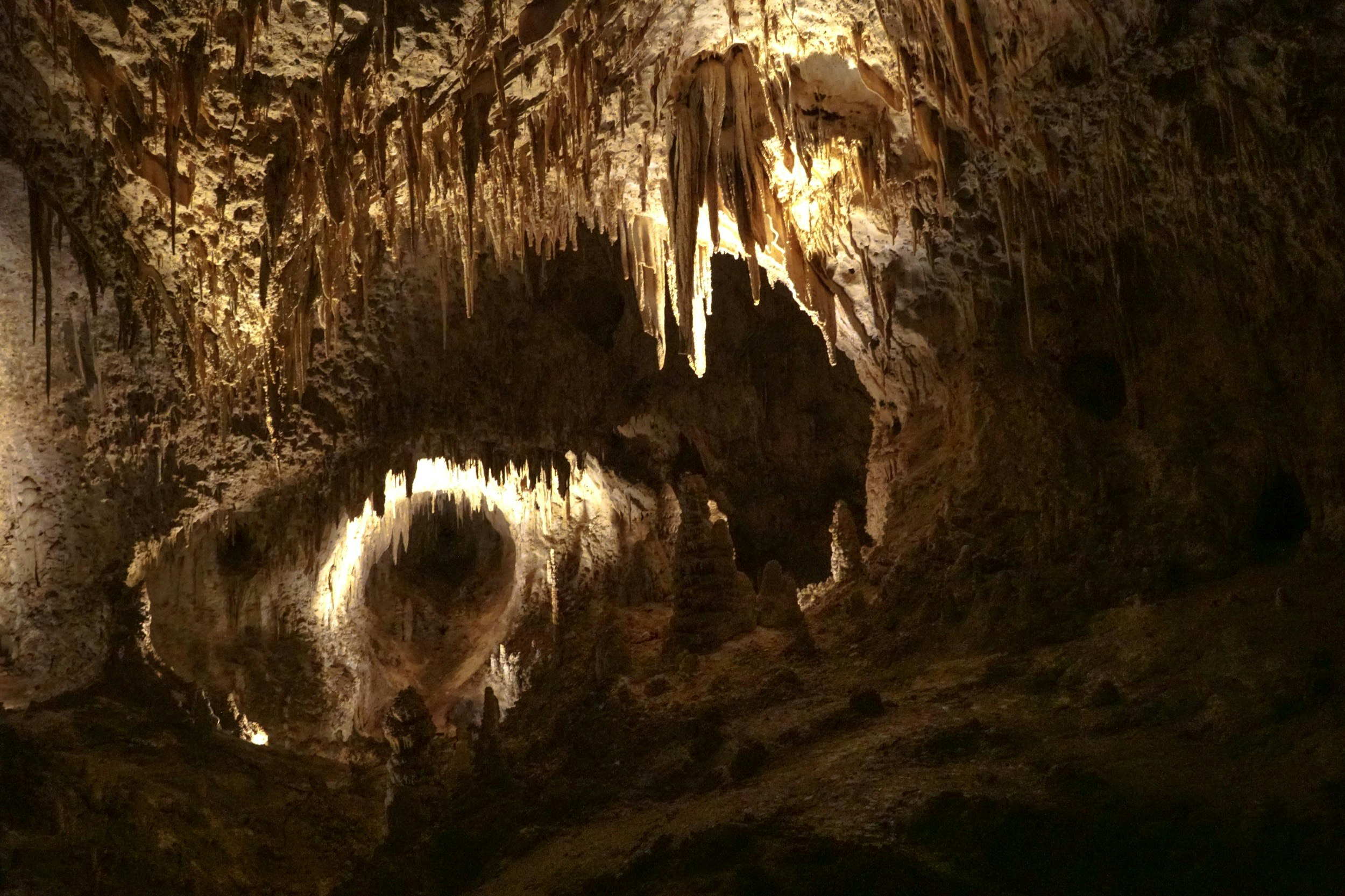 Stalagmites and stalactites are lit by spotlights at Carlsbad Caverns National Park