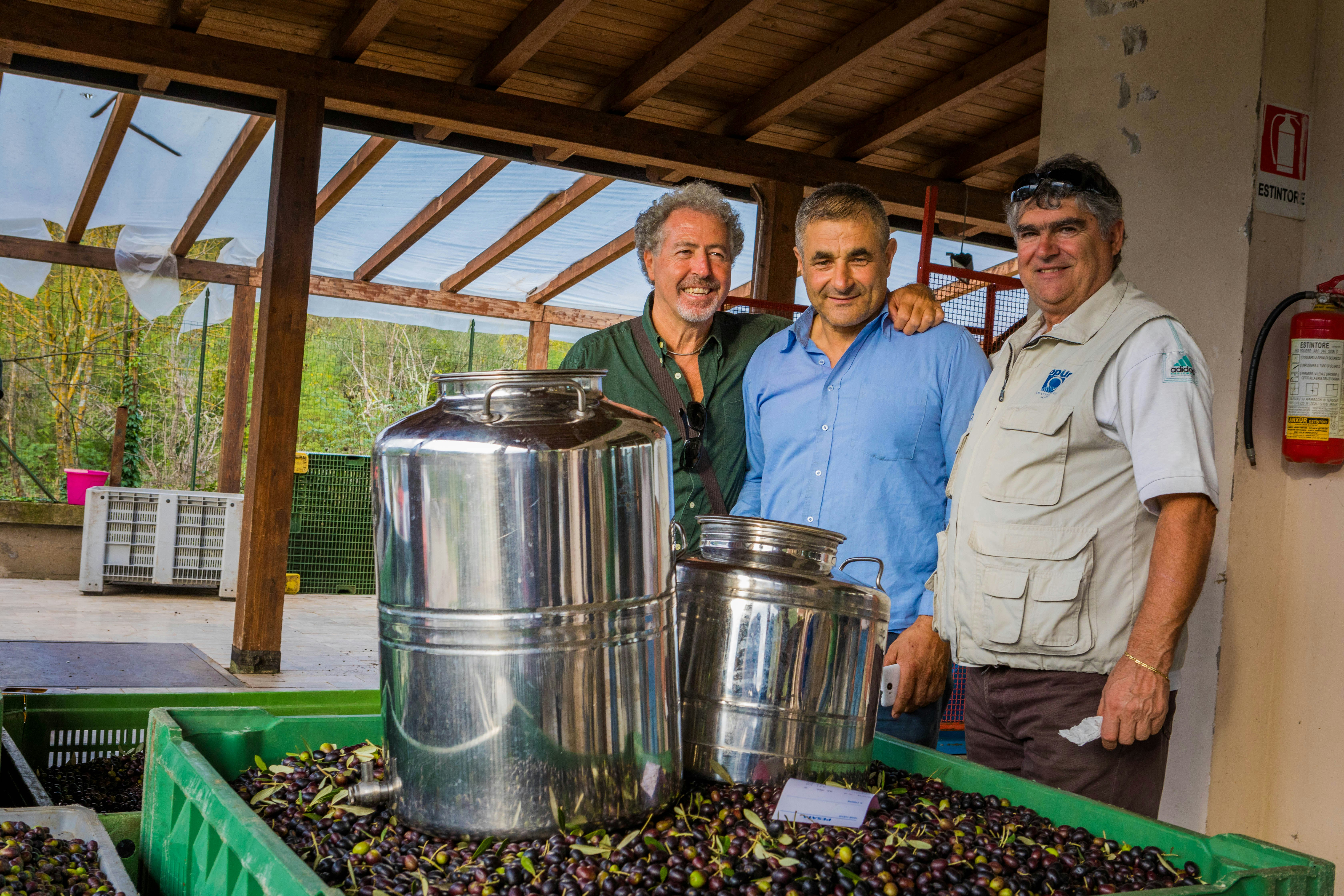 Spada, Guglietta, and Spirito stand together by a green bin of dark black and brown olives, some with the leaves still attached. Two silver stainless steel fusti, one large and one small, are perched on top of the mound of olives. 