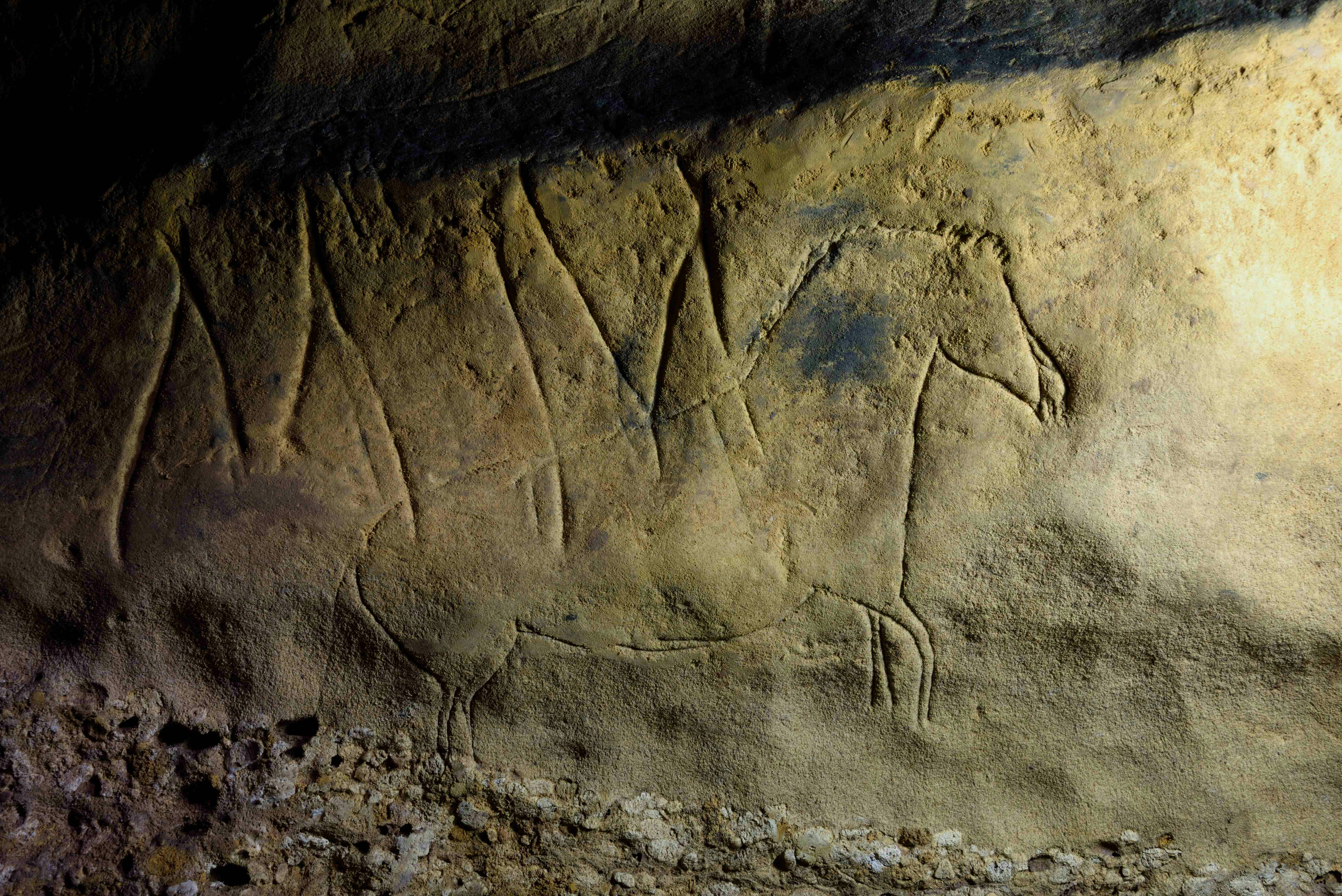 Ancient engraving of a horse on the wall of a cave
