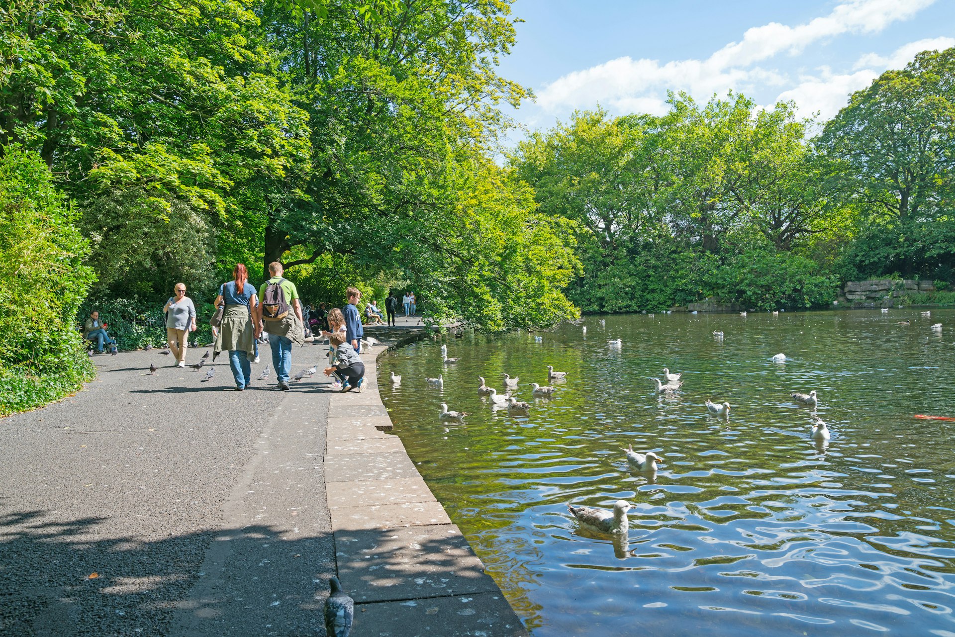 People walking along a path next to a lake at St Stephen's Green in Dublin; the path is bordered by trees and ducks are on the lake.
