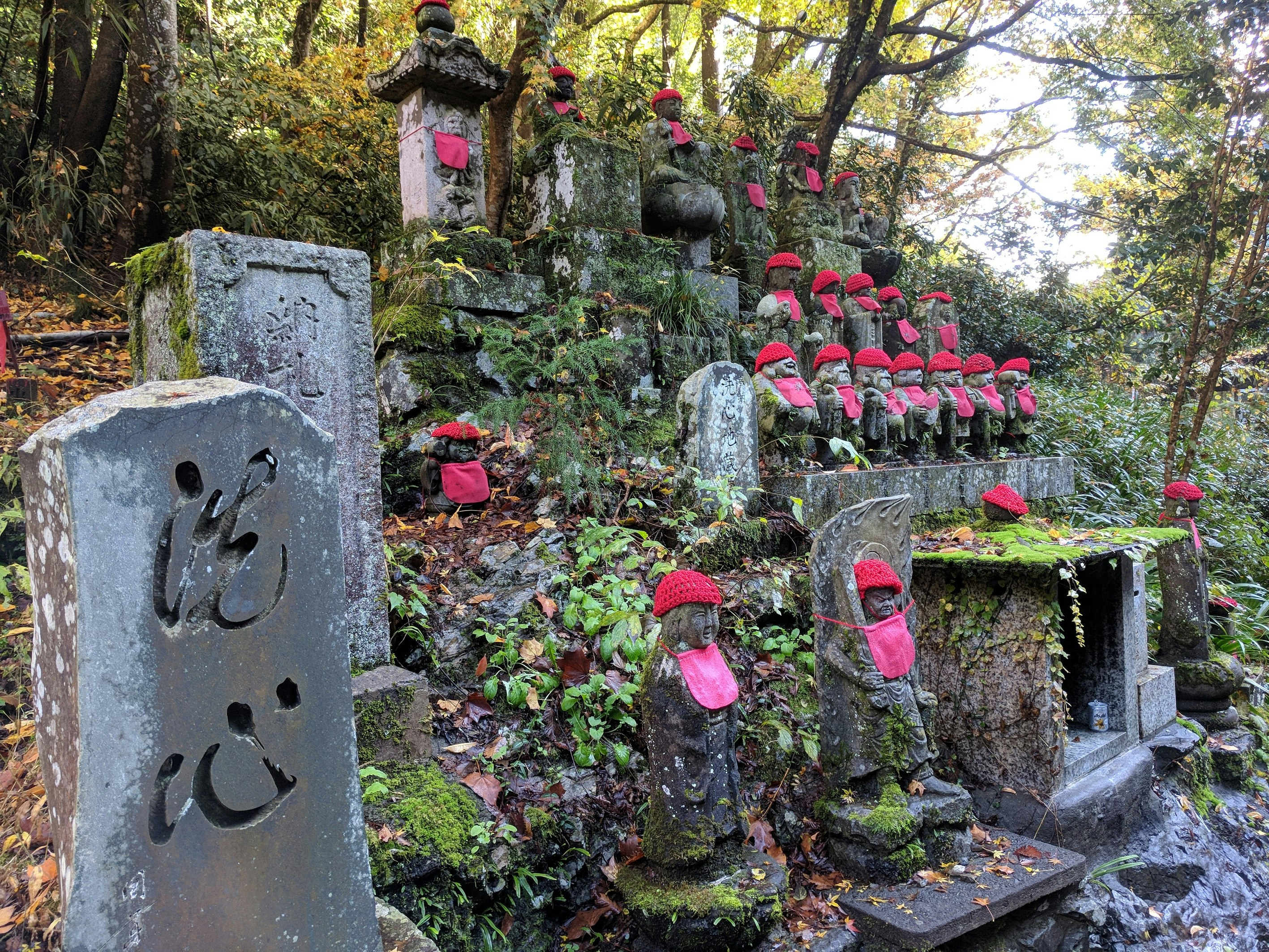 A number of stone statues stand amidst the undergrowth at the base of Mt Takao in Tokyo. The small stone statues have been adorned with red hats and matching red bibs.