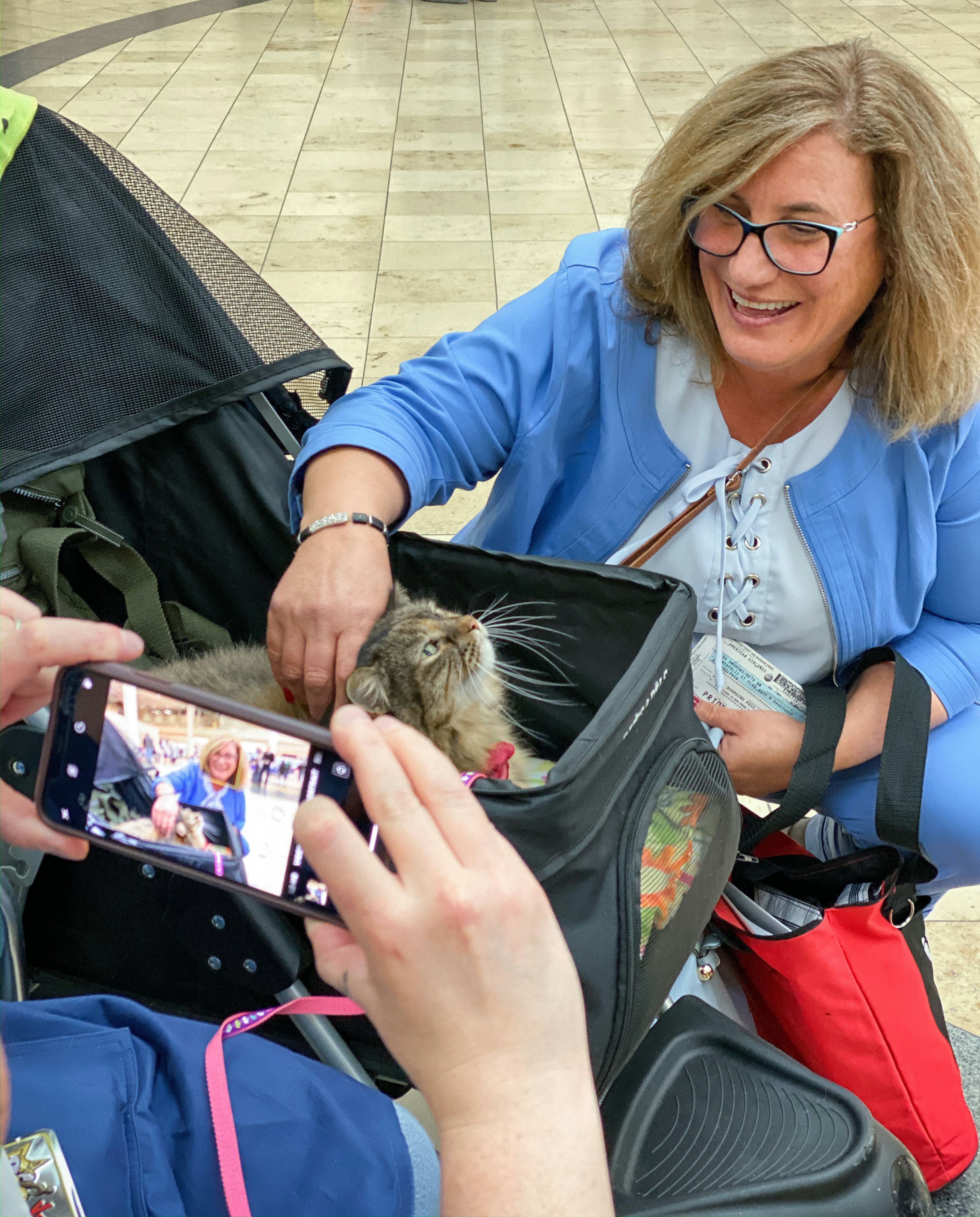 A therapy cat and her owner in Minneapolis St Paul airport