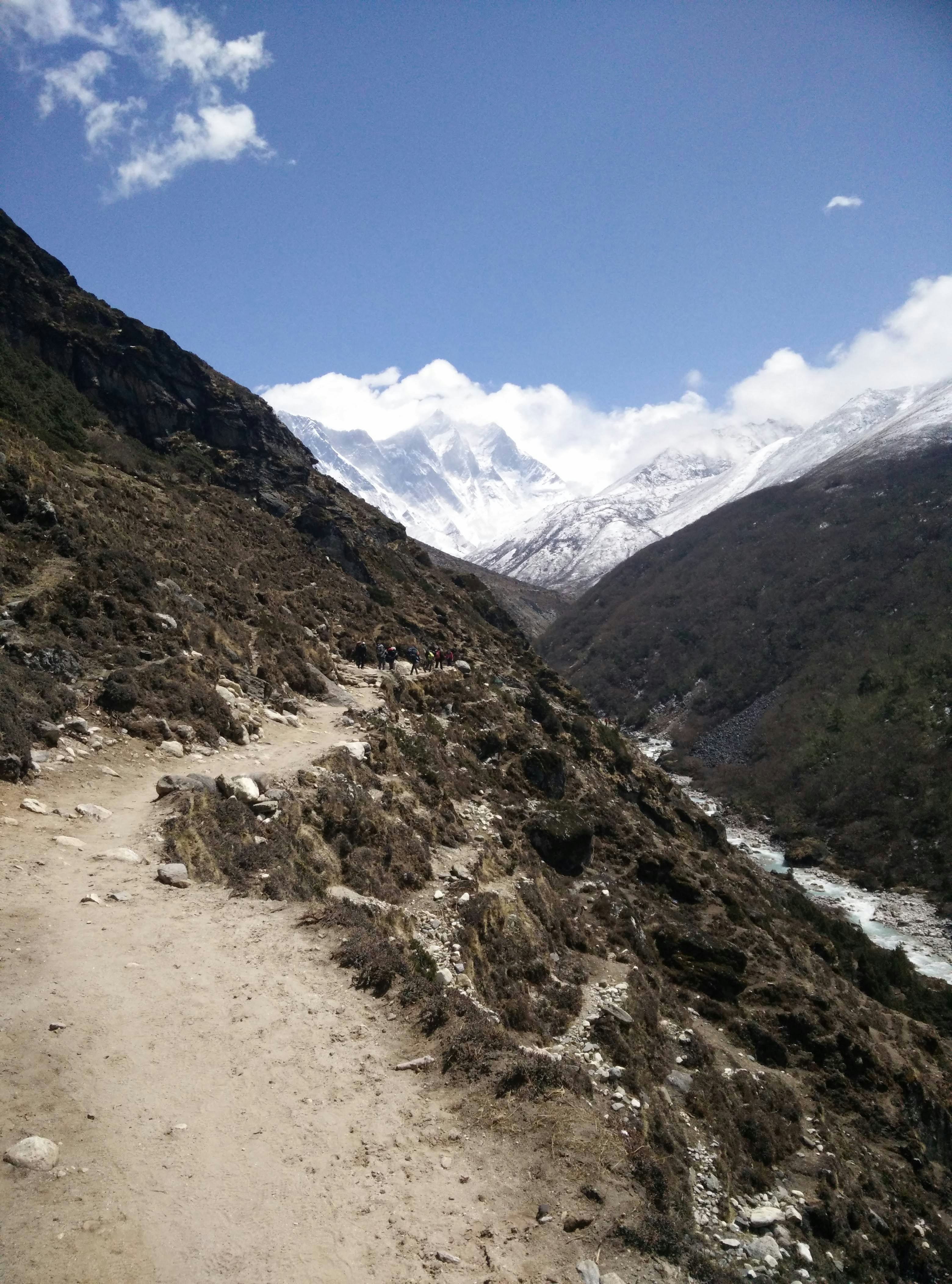 Subnival shrub vegetation on the trail above Namche Bazar Nepal 