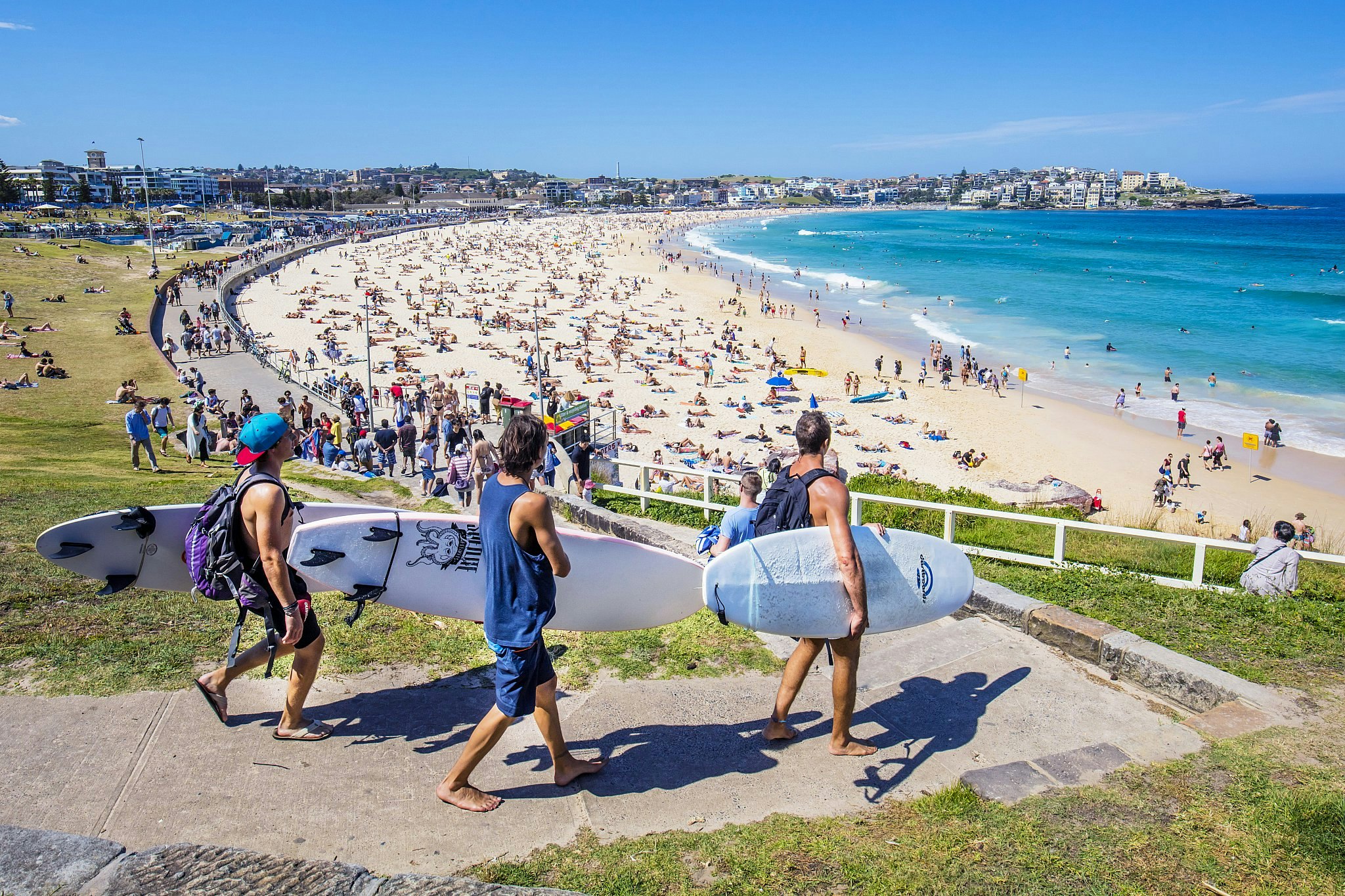 Tre surfare på väg till fullsatta Bondi Beach, Sydney, en solig dag.