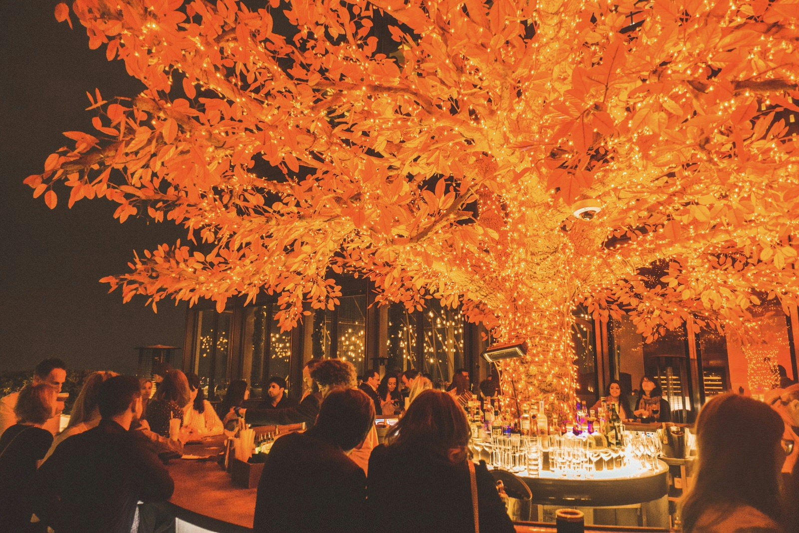 Ett upplyst apelsinträd är omgivet av en bar på Sushi Sambas terrass.  Det är natt och det är massor av människor på terrassen som dricker och pratar. 