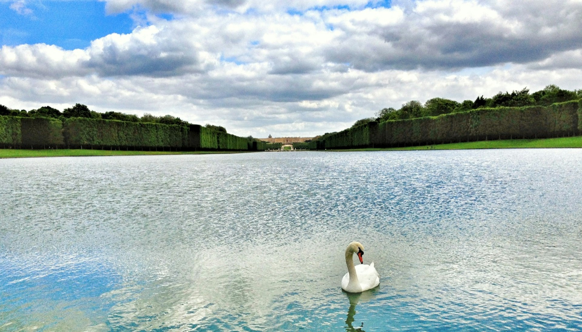 En vit simmar simmar ensam på en damm framför Versailles 