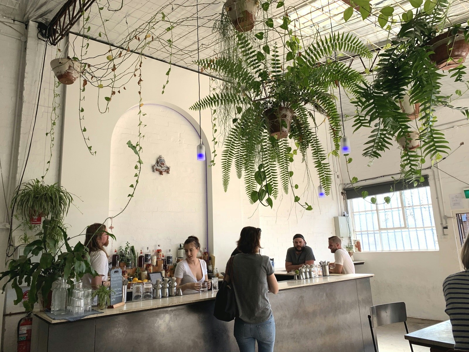 Several people mill around a concrete bar in a bright white room decorated with ferns and ivy hung from the ceiling. The minimalist bar is lined with bottles of gin.