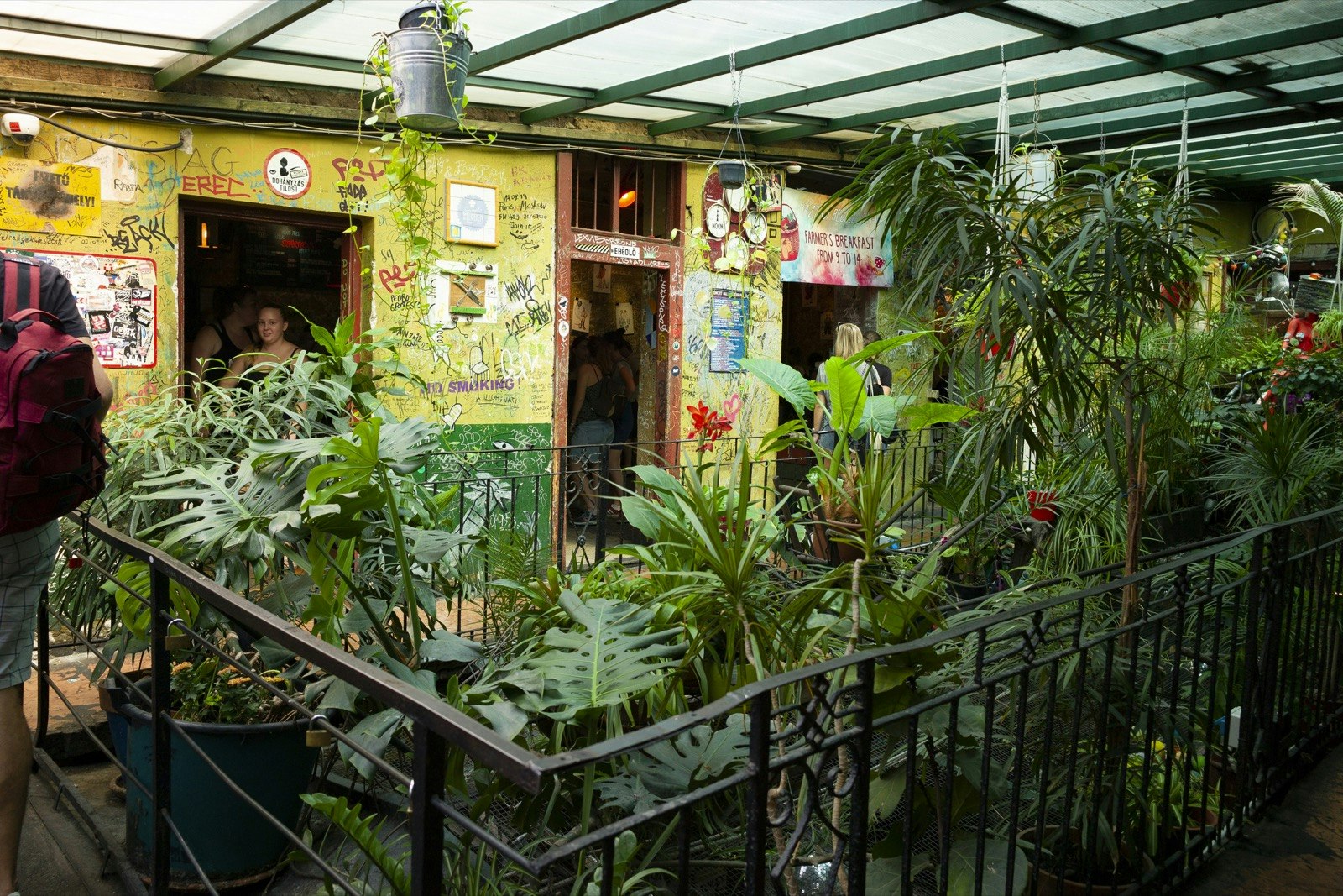 Plants growing from the middle of an old building while people go in and out of doors