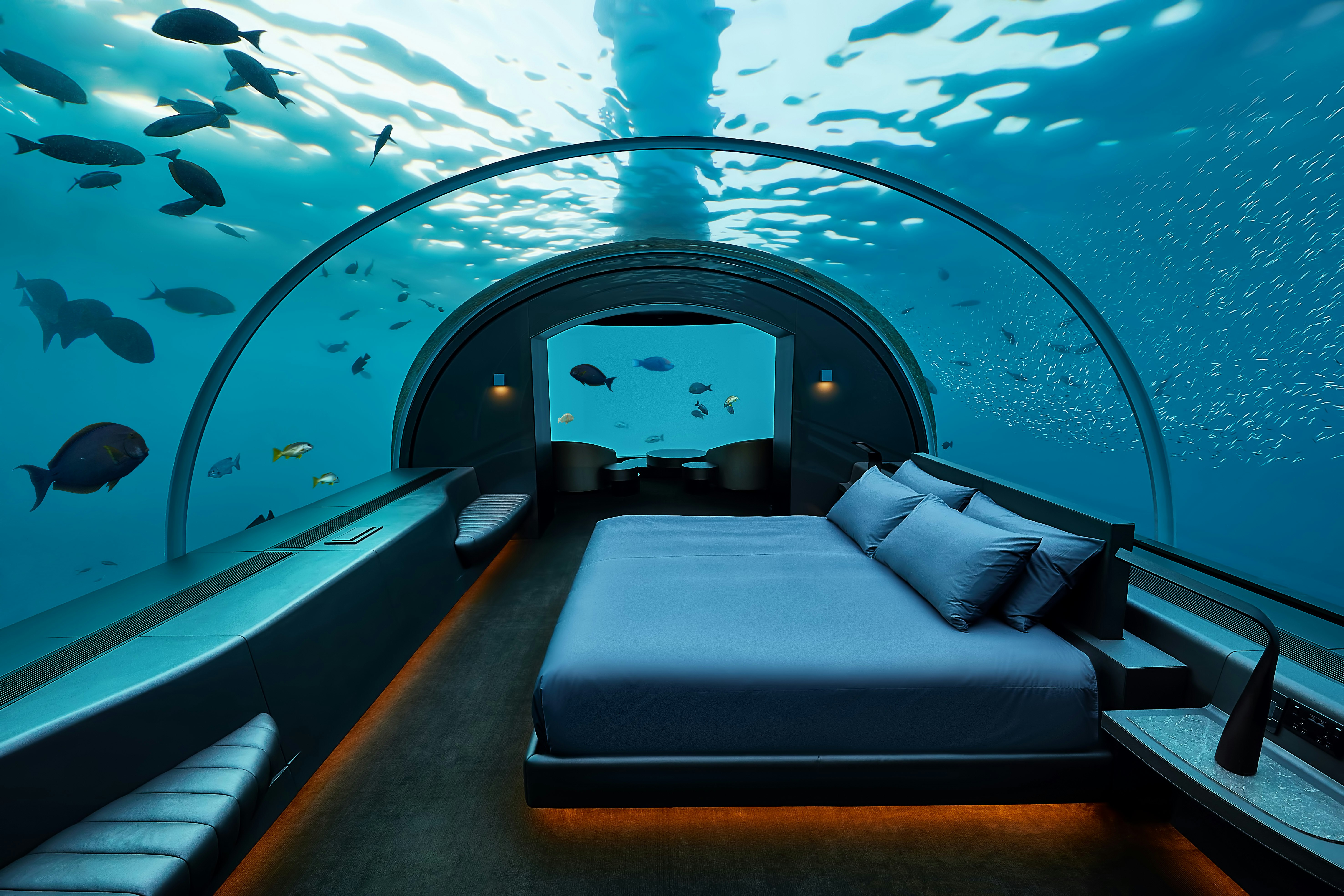 A transparent perspex dome encloses an underwater hotel room, and large tropical fish can be seen swimming beyond its see-through walls.