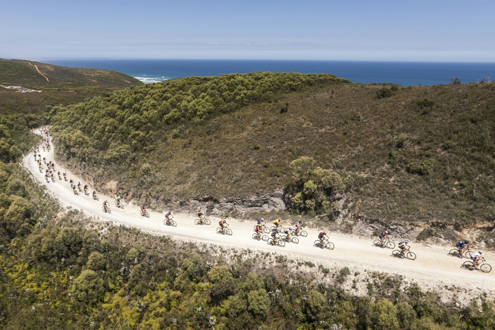 A group of some 100 mountain bikers wind up a twisting gravel road that cuts along the slope of a forest hill; the ocean sits in the distance.