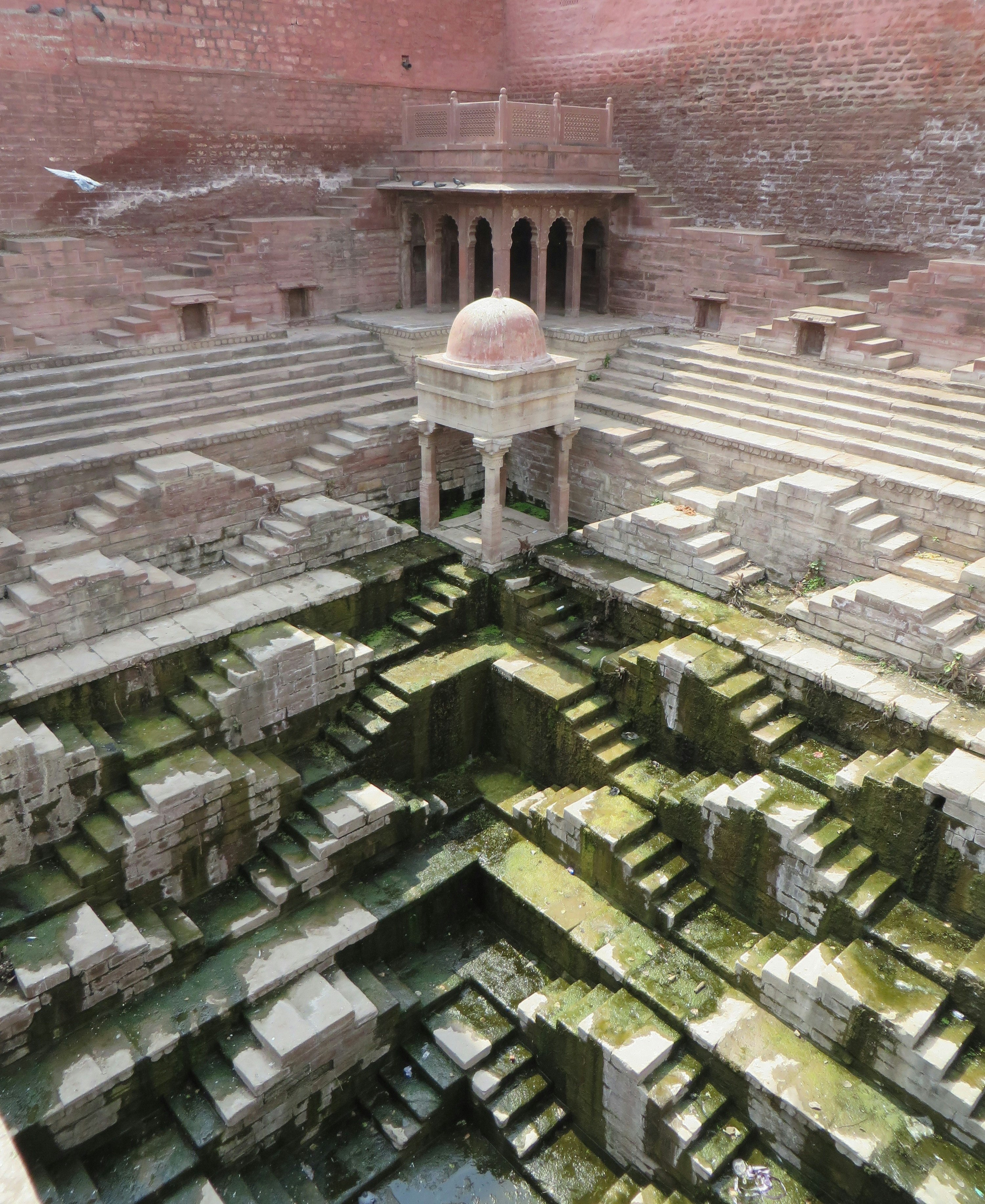 The Vanishing Stepwells of India MAHILA BAAG-002.JPG